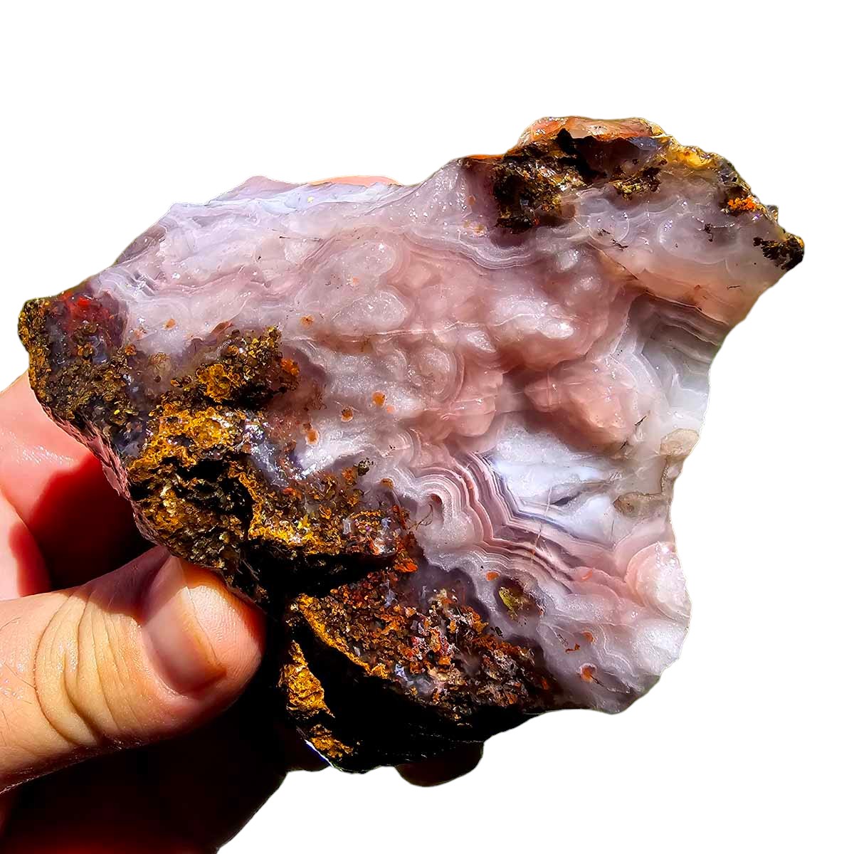 High Grade Select Agua Nueva Agate New Water Agate Rough Chunk!