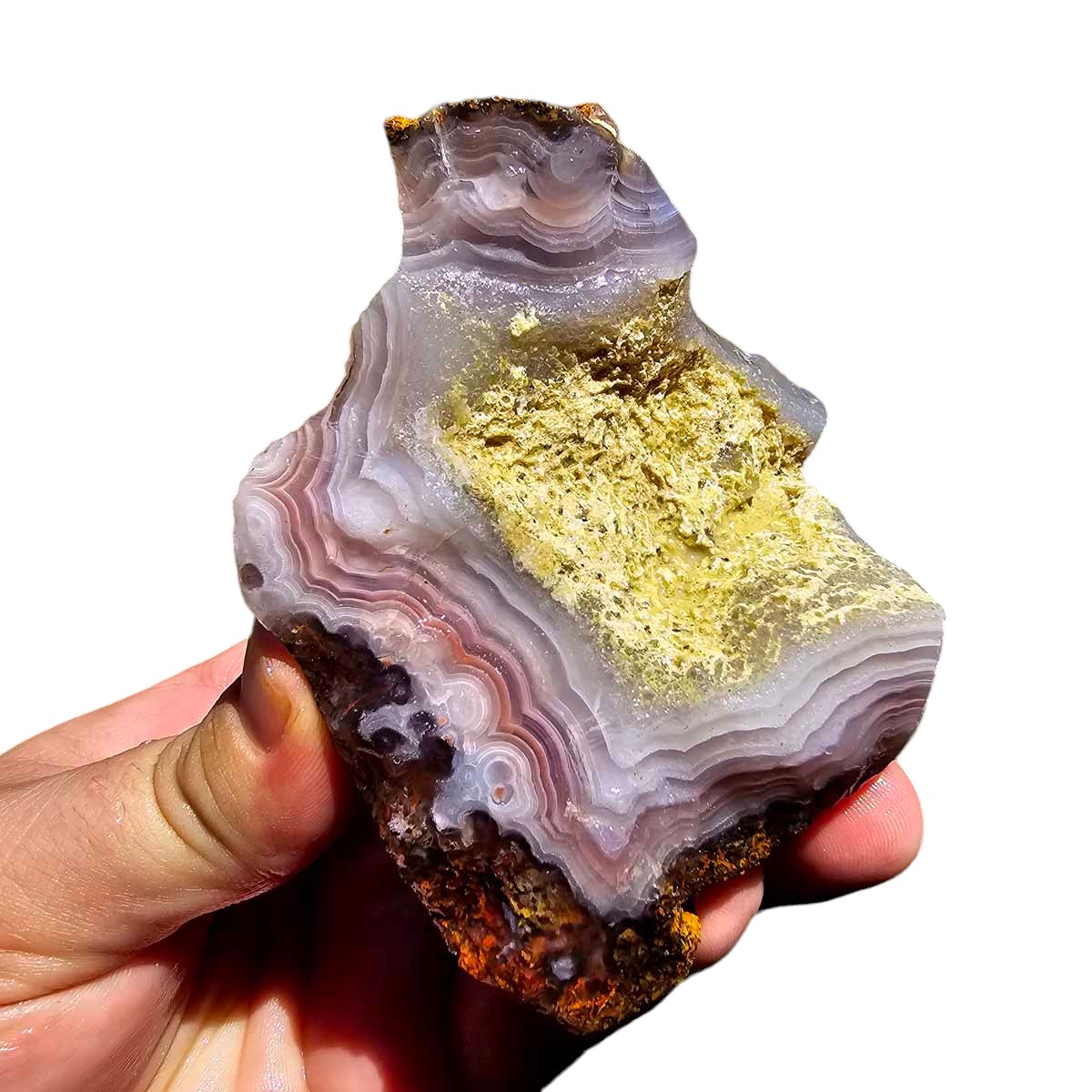 High Grade Select Agua Nueva Agate New Water Agate Rough Chunk!