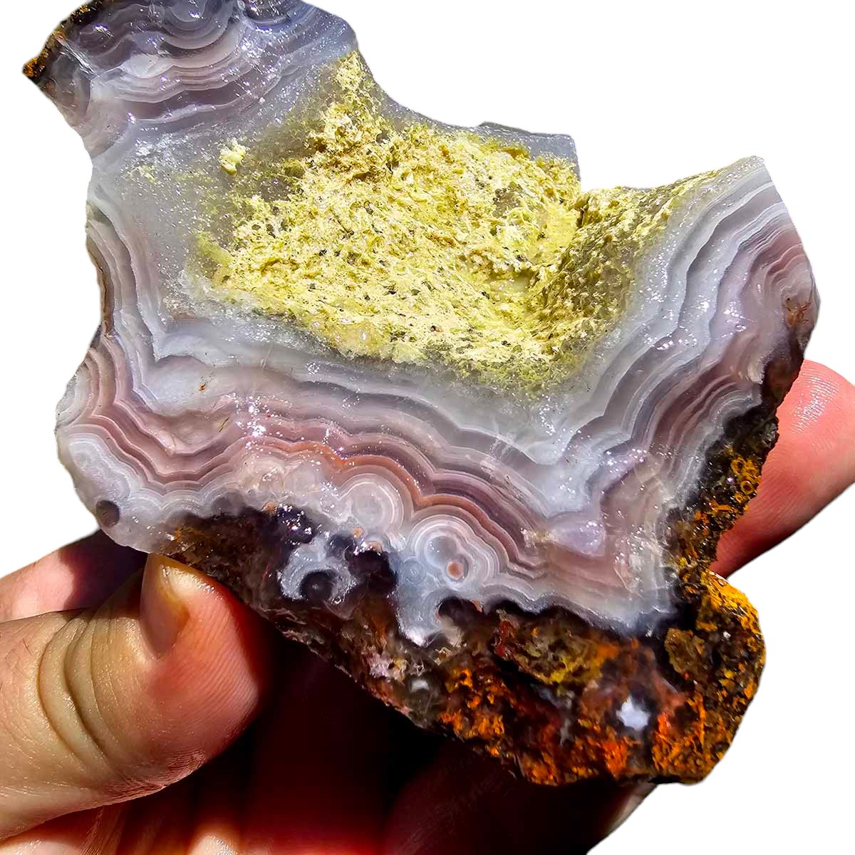 High Grade Select Agua Nueva Agate New Water Agate Rough Chunk!