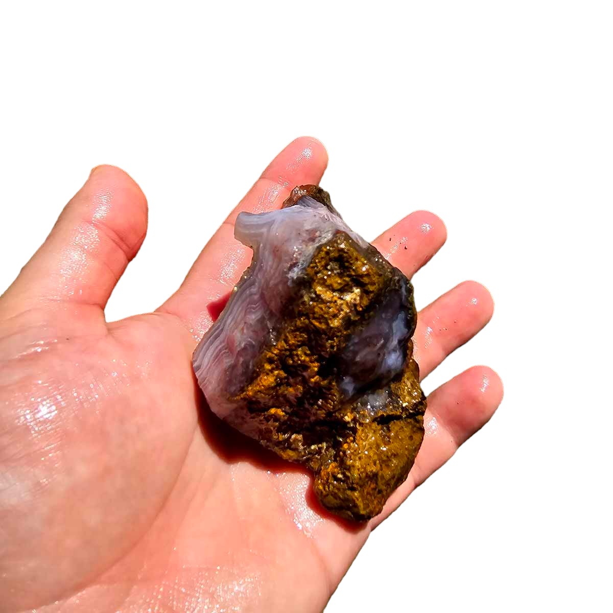 High Grade Select Agua Nueva Agate New Water Agate Rough Chunk!