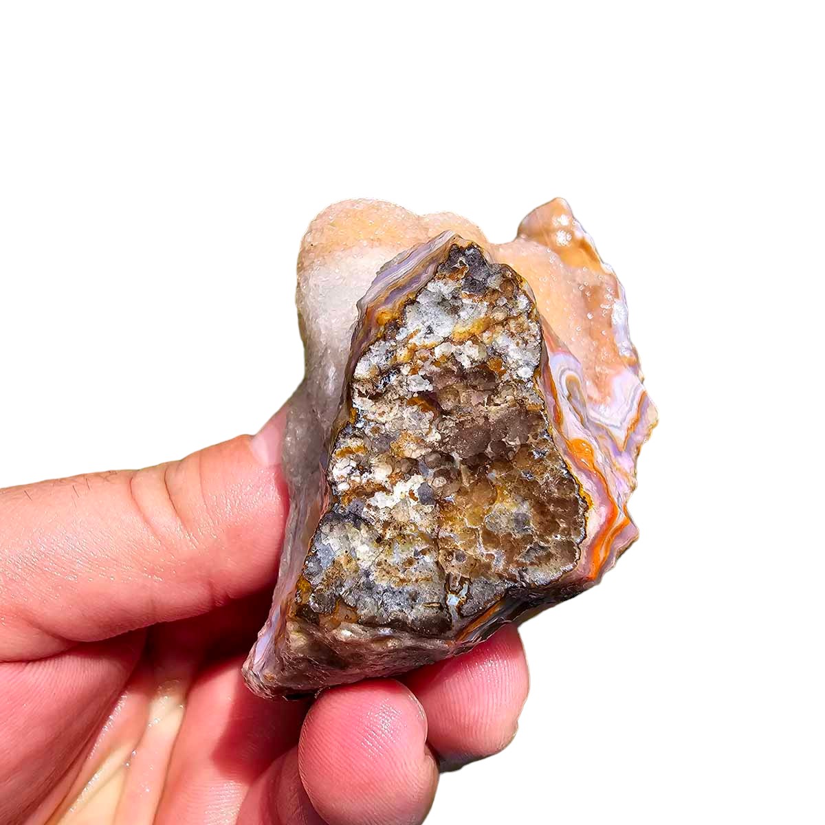 High Grade Select Agua Nueva Agate New Water Agate Rough Chunk!