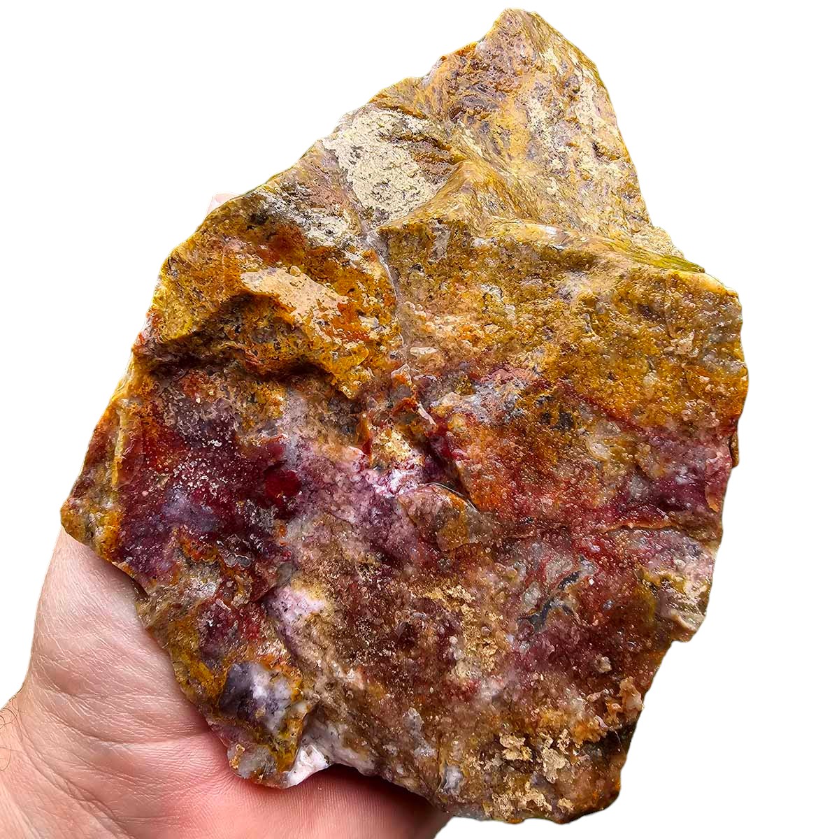 Agua Nueva Agate New Water Agate Rough Chunk!