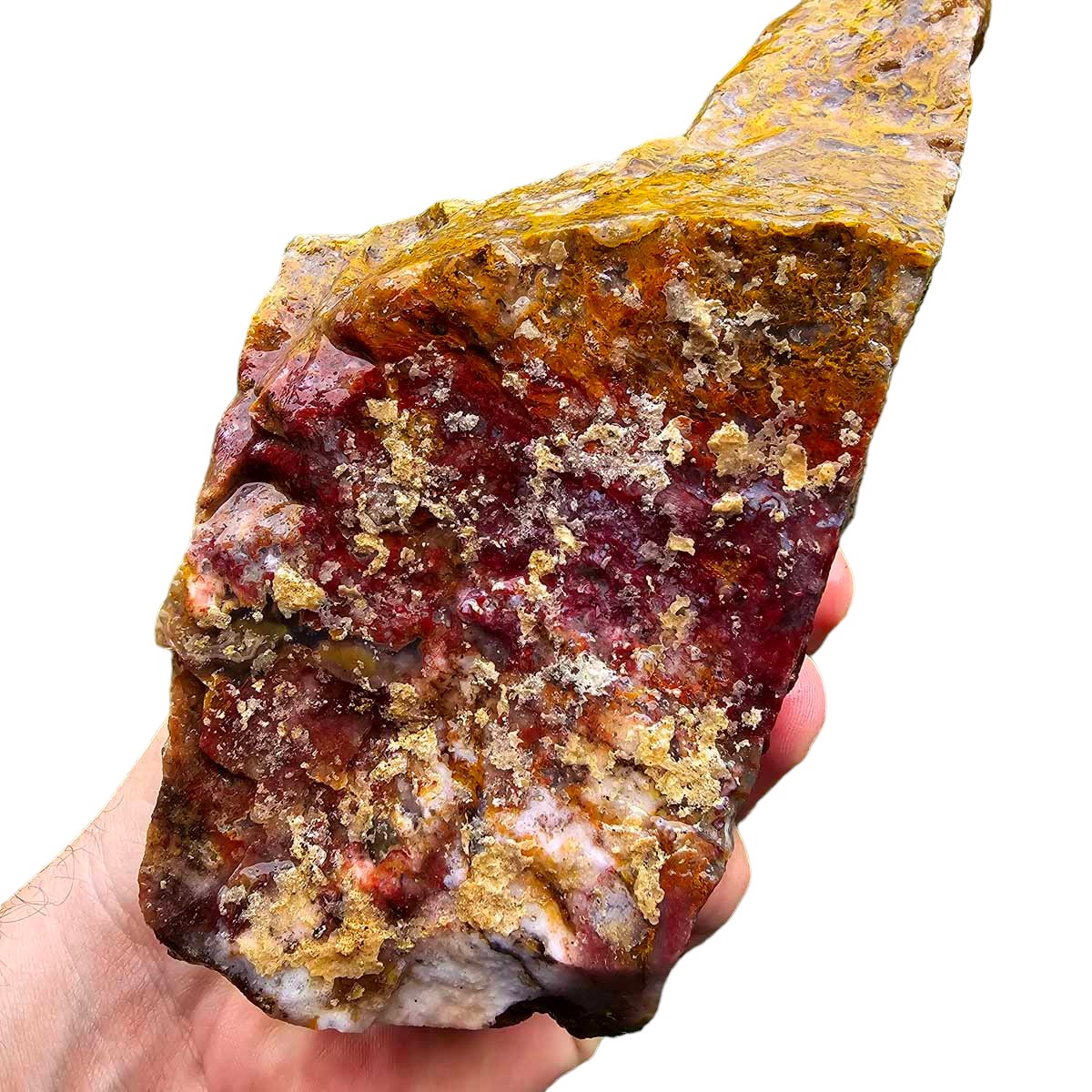 Agua Nueva Agate New Water Agate Rough Chunk!