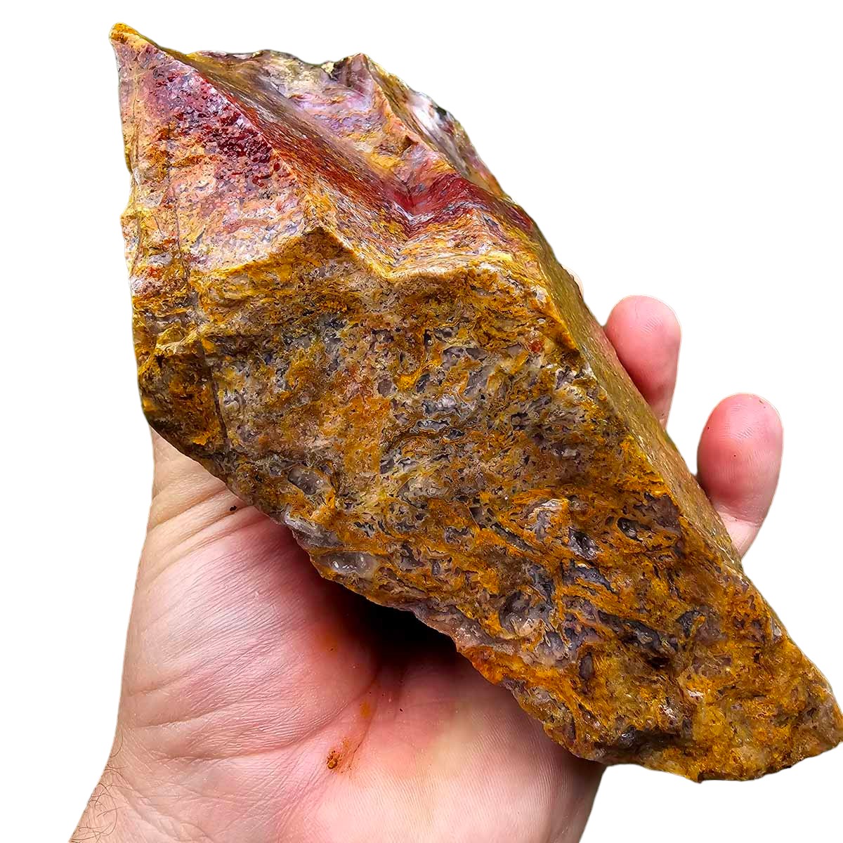 Agua Nueva Agate New Water Agate Rough Chunk!