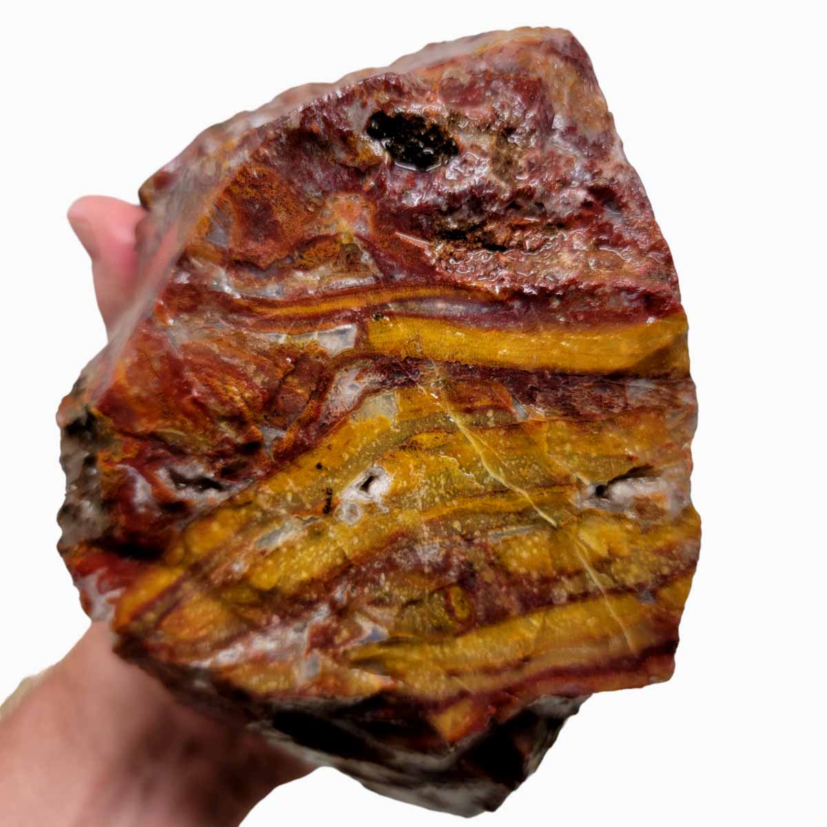 Agua Nueva Agate New Water Agate Rough Chunk!