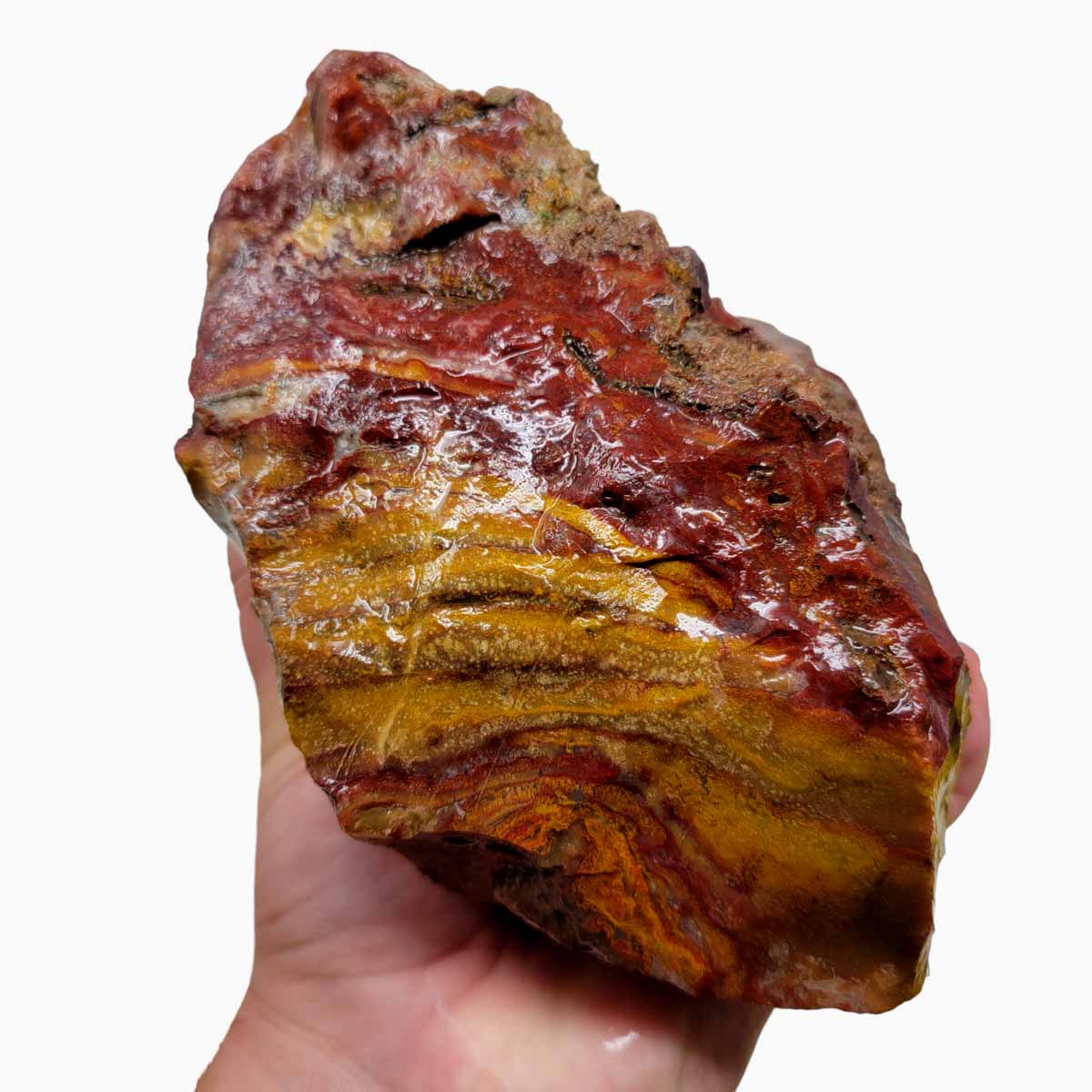 Agua Nueva Agate New Water Agate Rough Chunk!