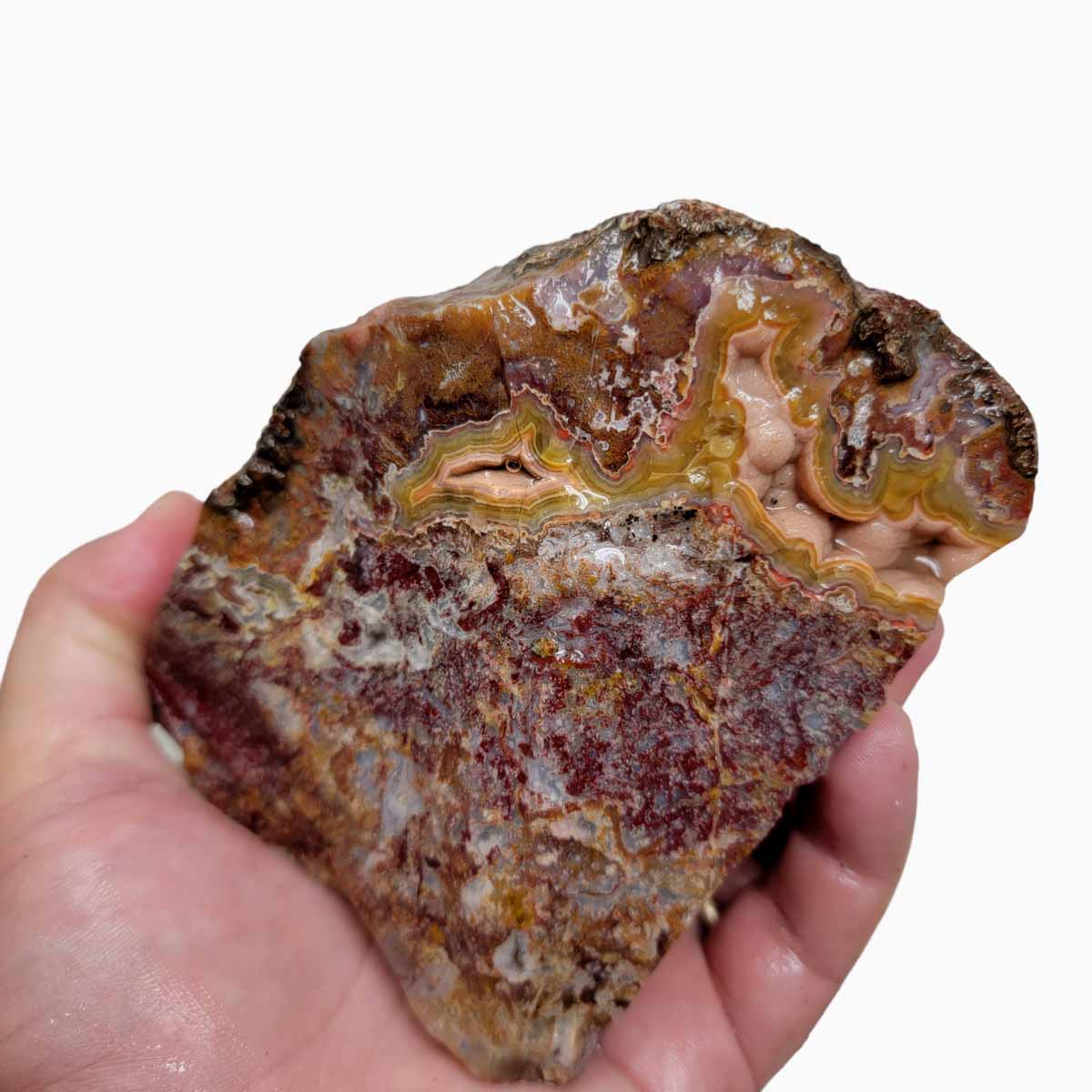 Agua Nueva Agate New Water Agate Rough Chunk!