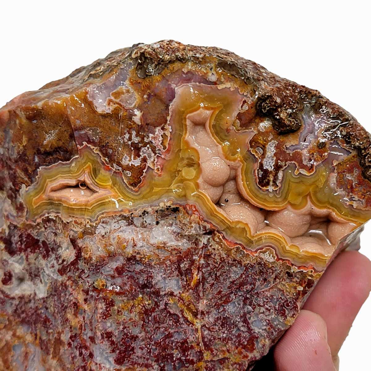 Agua Nueva Agate New Water Agate Rough Chunk!