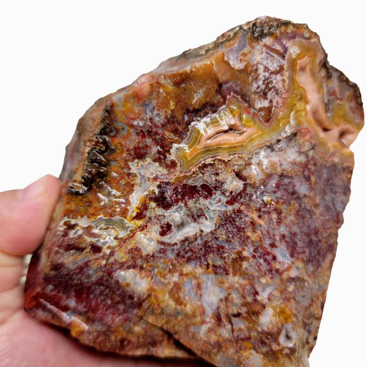 Agua Nueva Agate New Water Agate Rough Chunk!