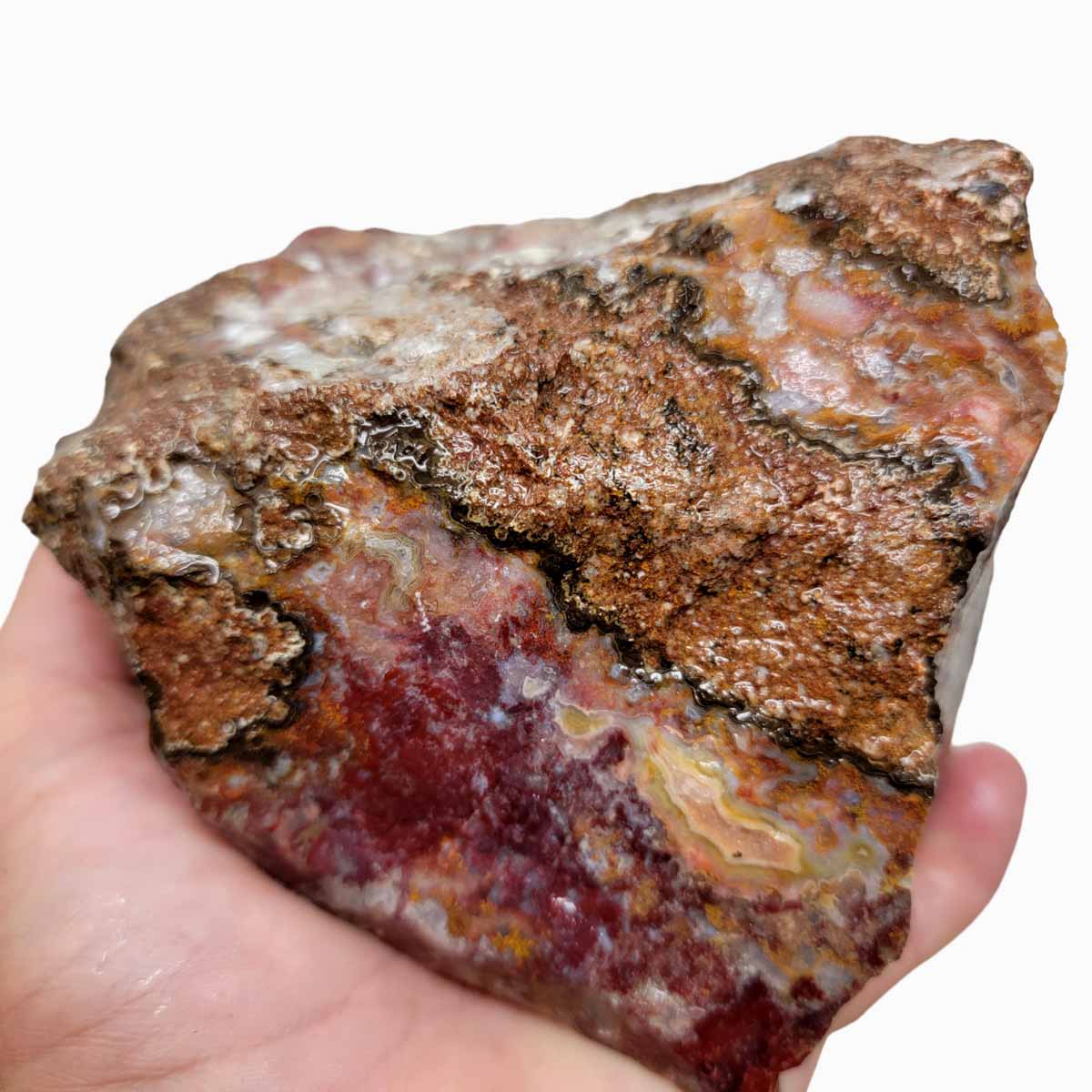 Agua Nueva Agate New Water Agate Rough Chunk!