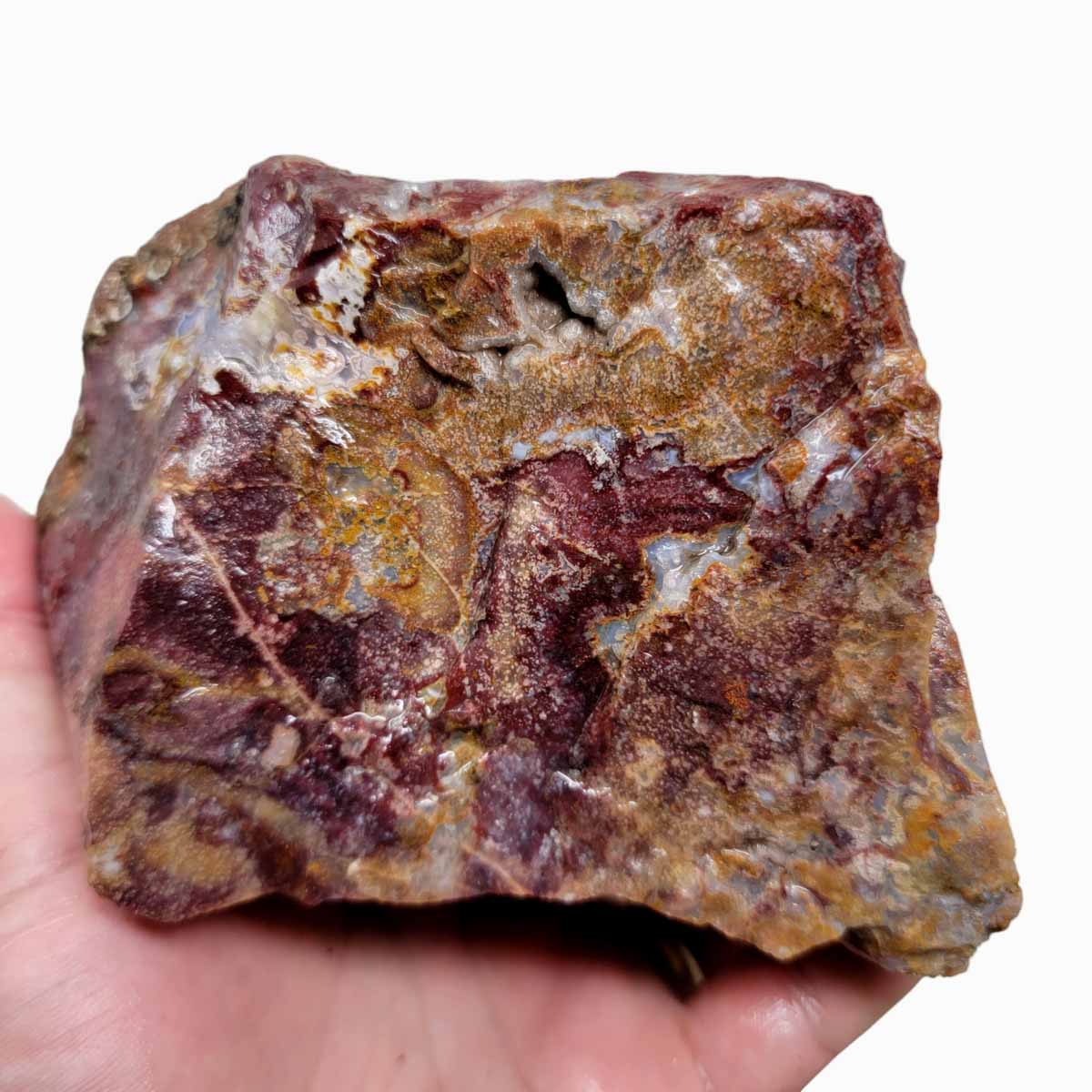 Agua Nueva Agate New Water Agate Rough Chunk!