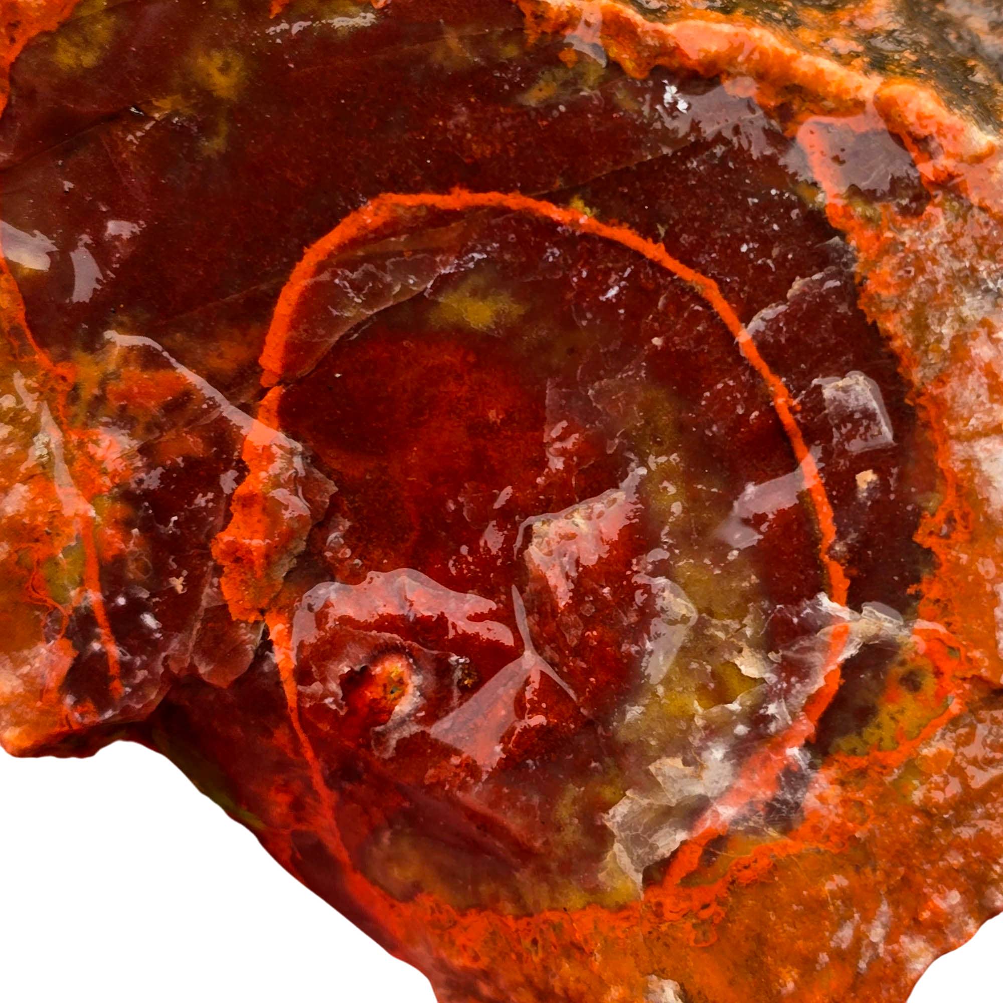 Alabama Paint Agate Rough - Bright Red Halo Blood Red Background #R934-1