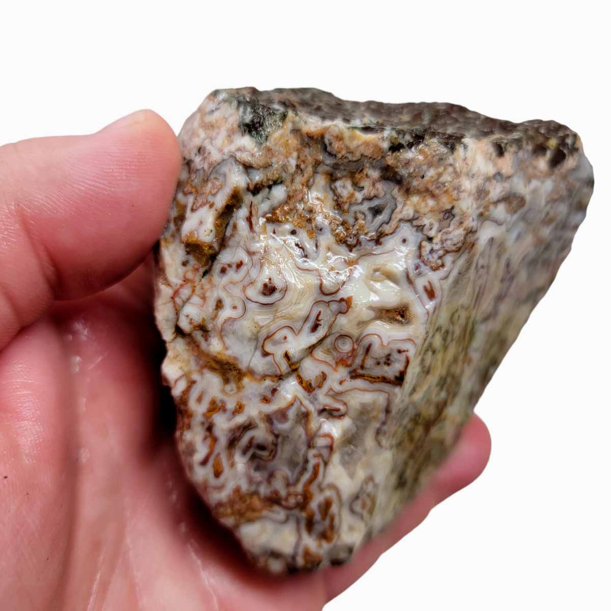 Apple Valley Agate with Plume Rough Chunk!