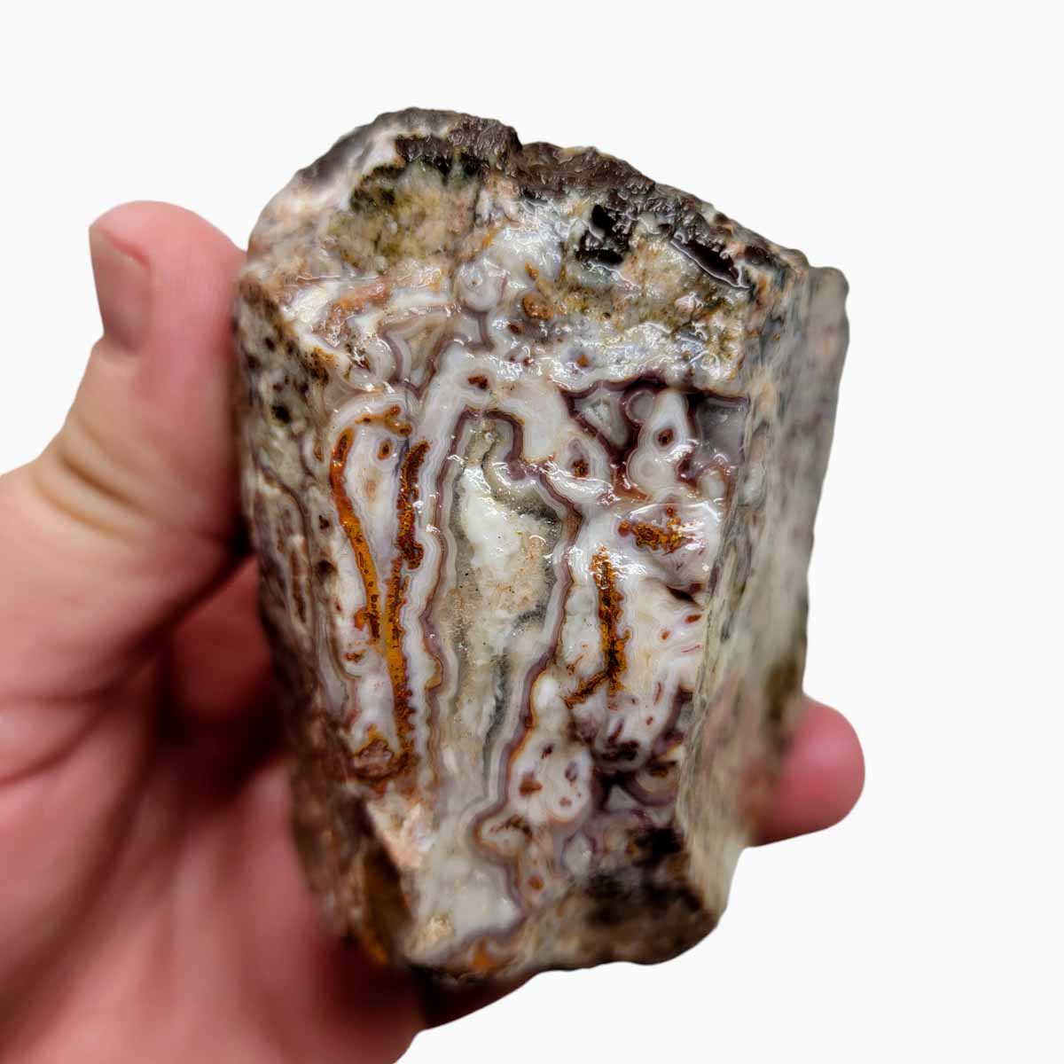 Apple Valley Agate with Plume Rough Chunk!