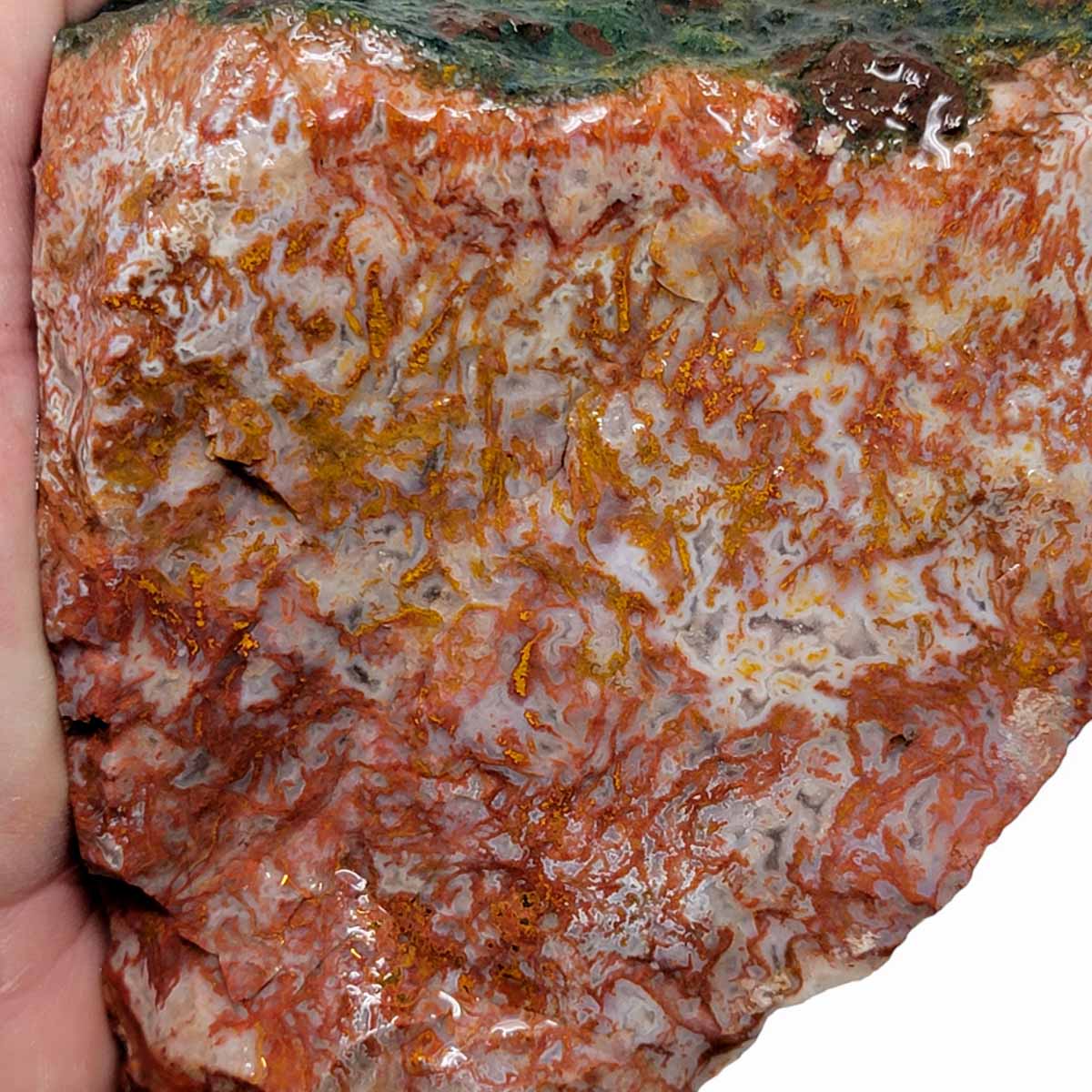 Apple Valley Agate Rough Chunk!