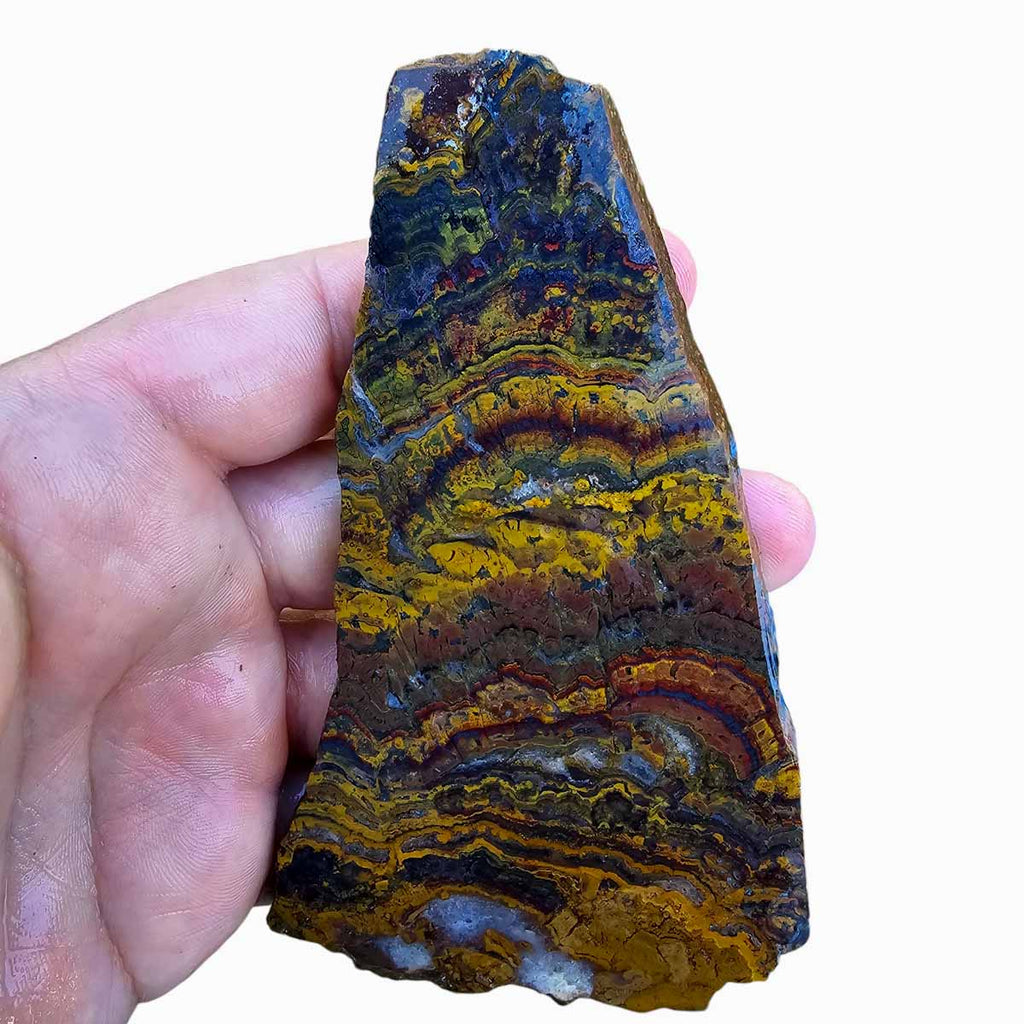 Api Palervalli Apple Valley Jasper Slab! Fossil Stromatolite Slab