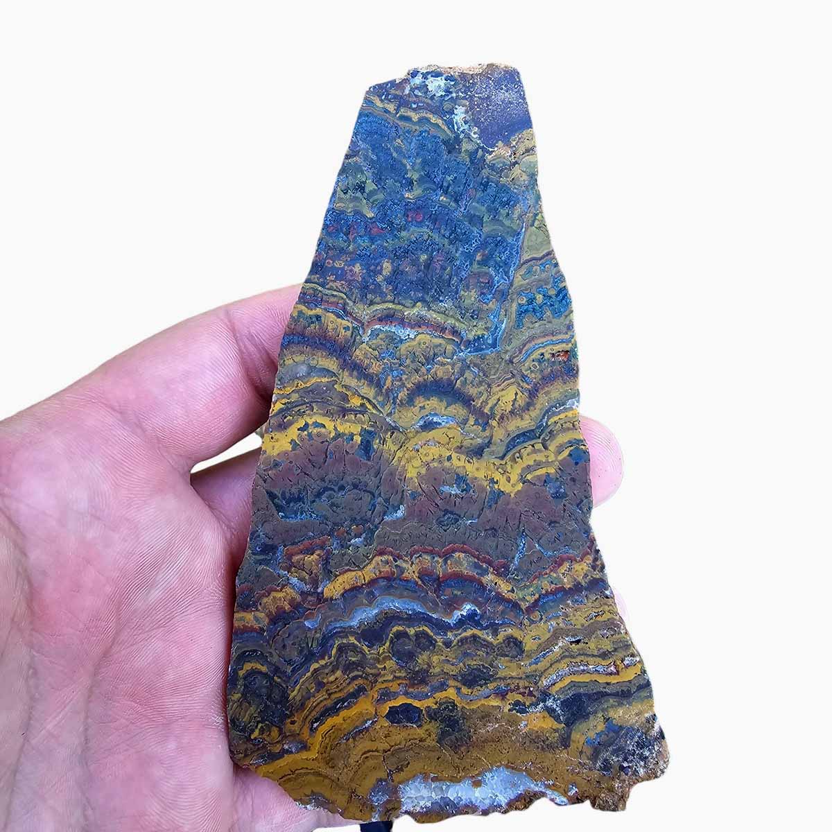 Apple Valley Jasper Slab!  Fossil Stromatolite Slab