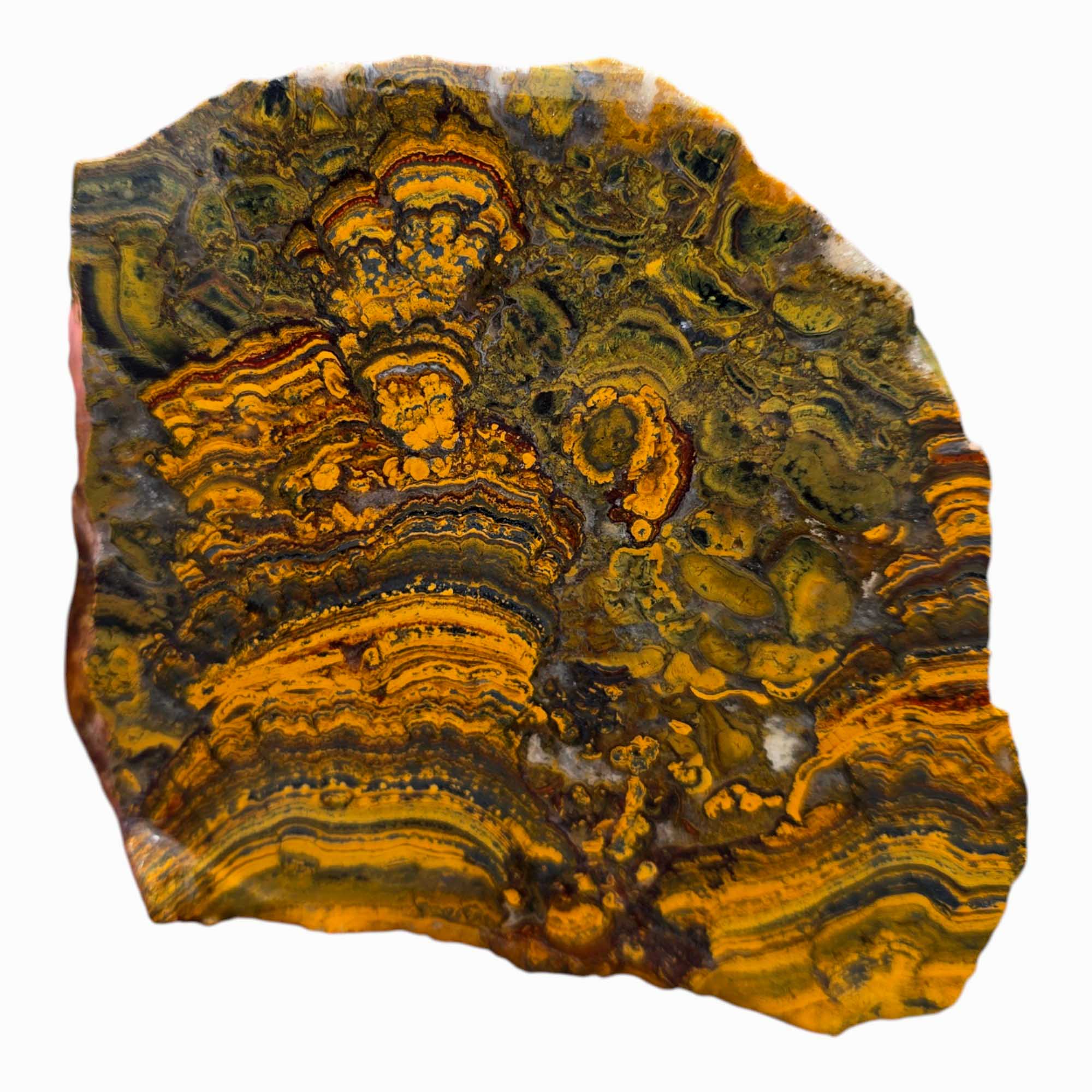 Apple Valley Jasper Lapidary Cutting Rough Chunk Stone Cut Face