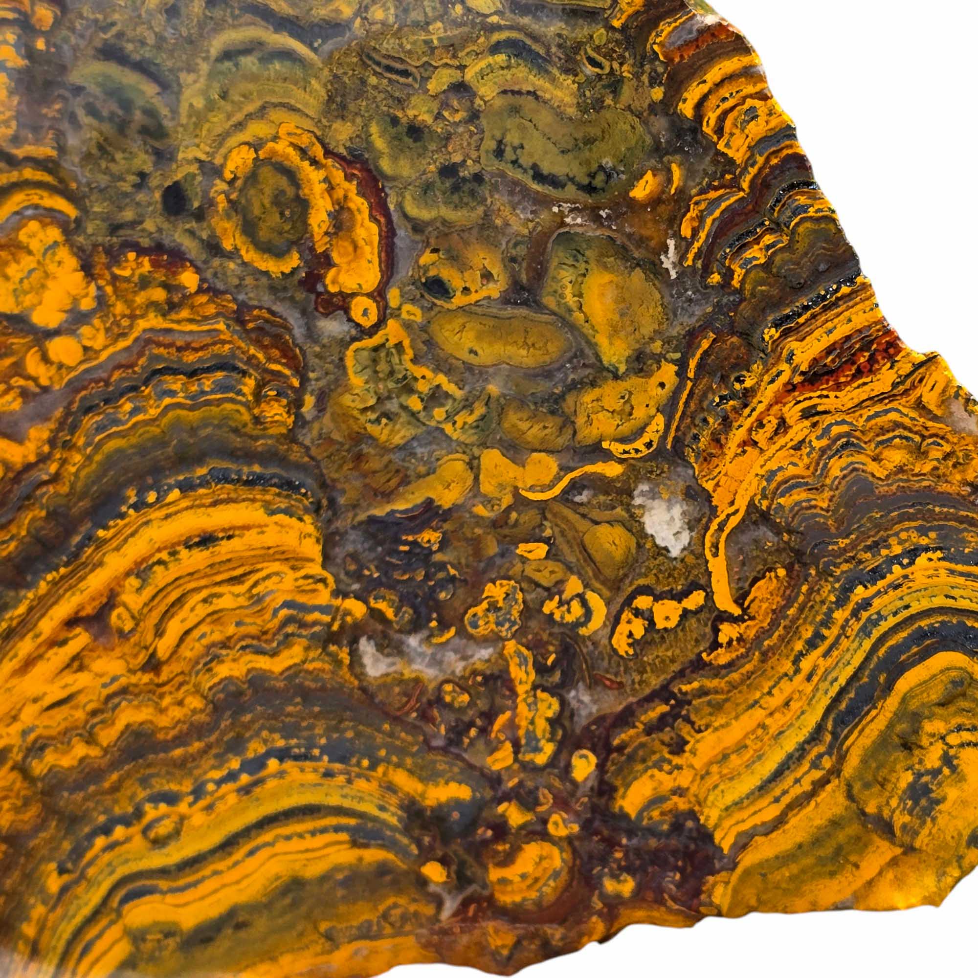 Apple Valley Jasper Lapidary Cutting Rough Chunk Stone Cut Face