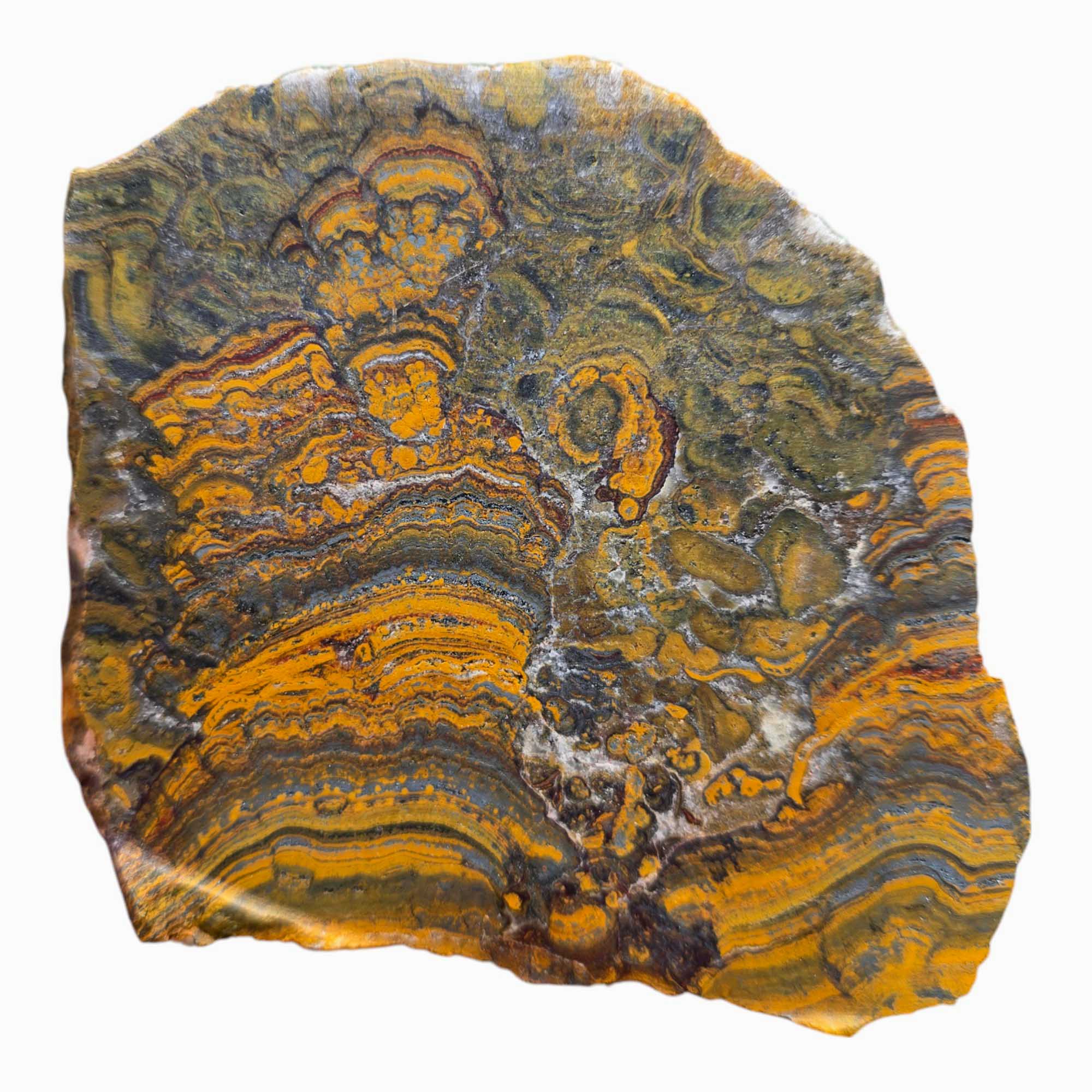 Apple Valley Jasper Lapidary Cutting Rough Chunk Stone Cut Face