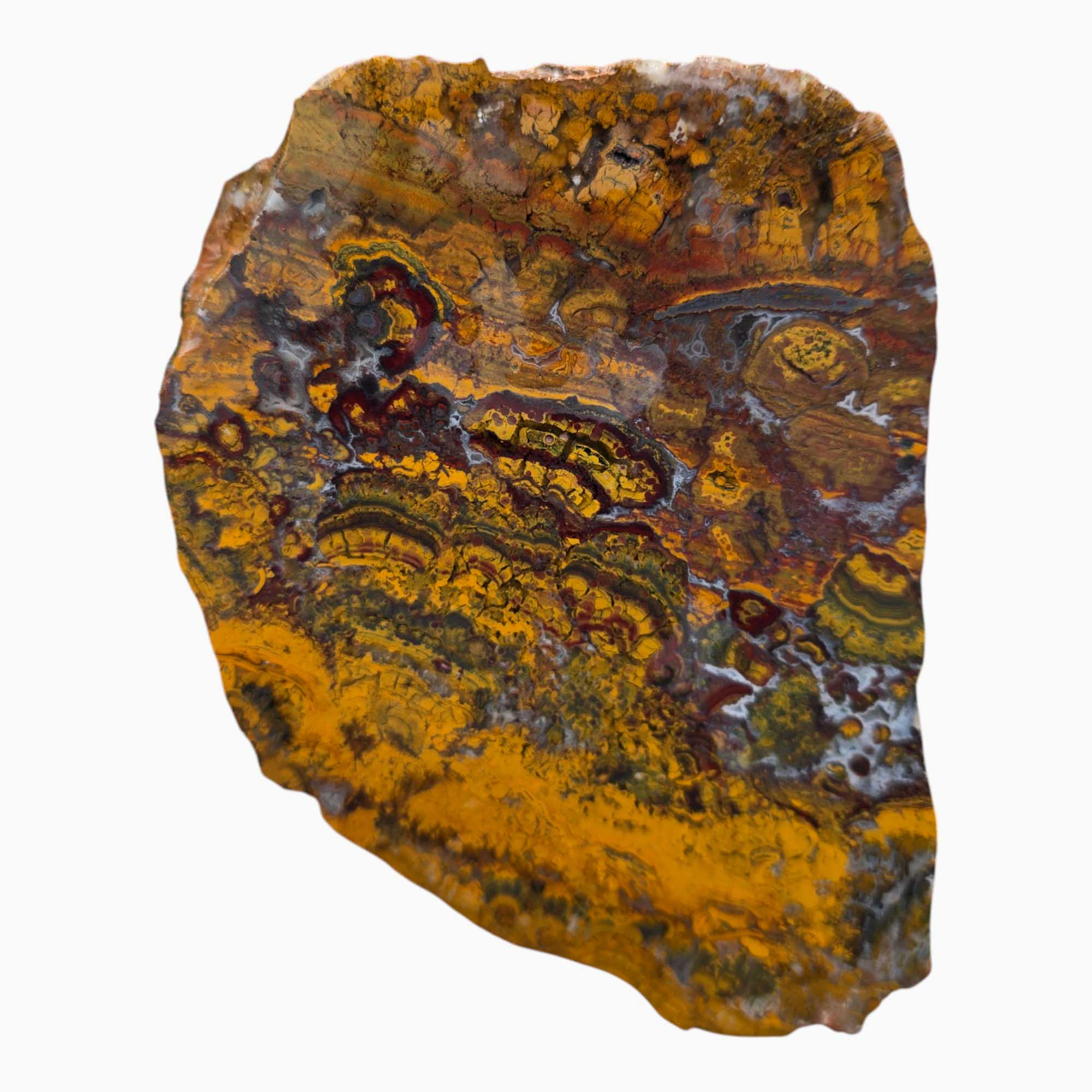 Apple Valley Jasper Lapidary Cutting Rough Chunk Stone Cut Face