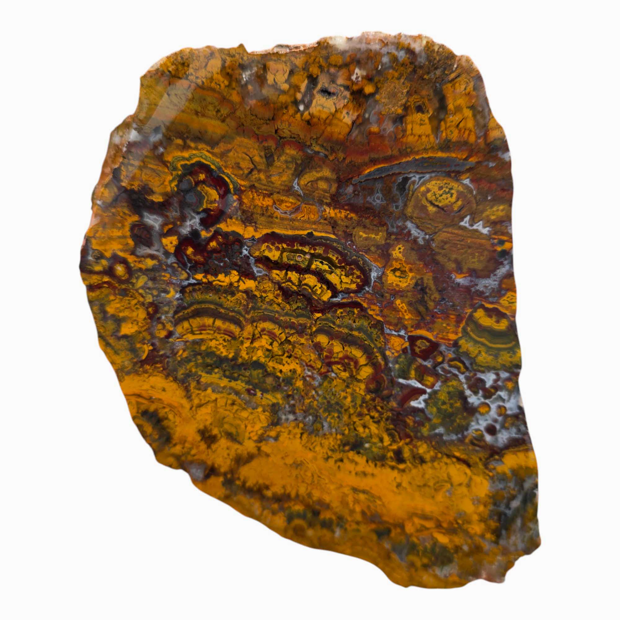 Apple Valley Jasper Lapidary Cutting Rough Chunk Stone Cut Face