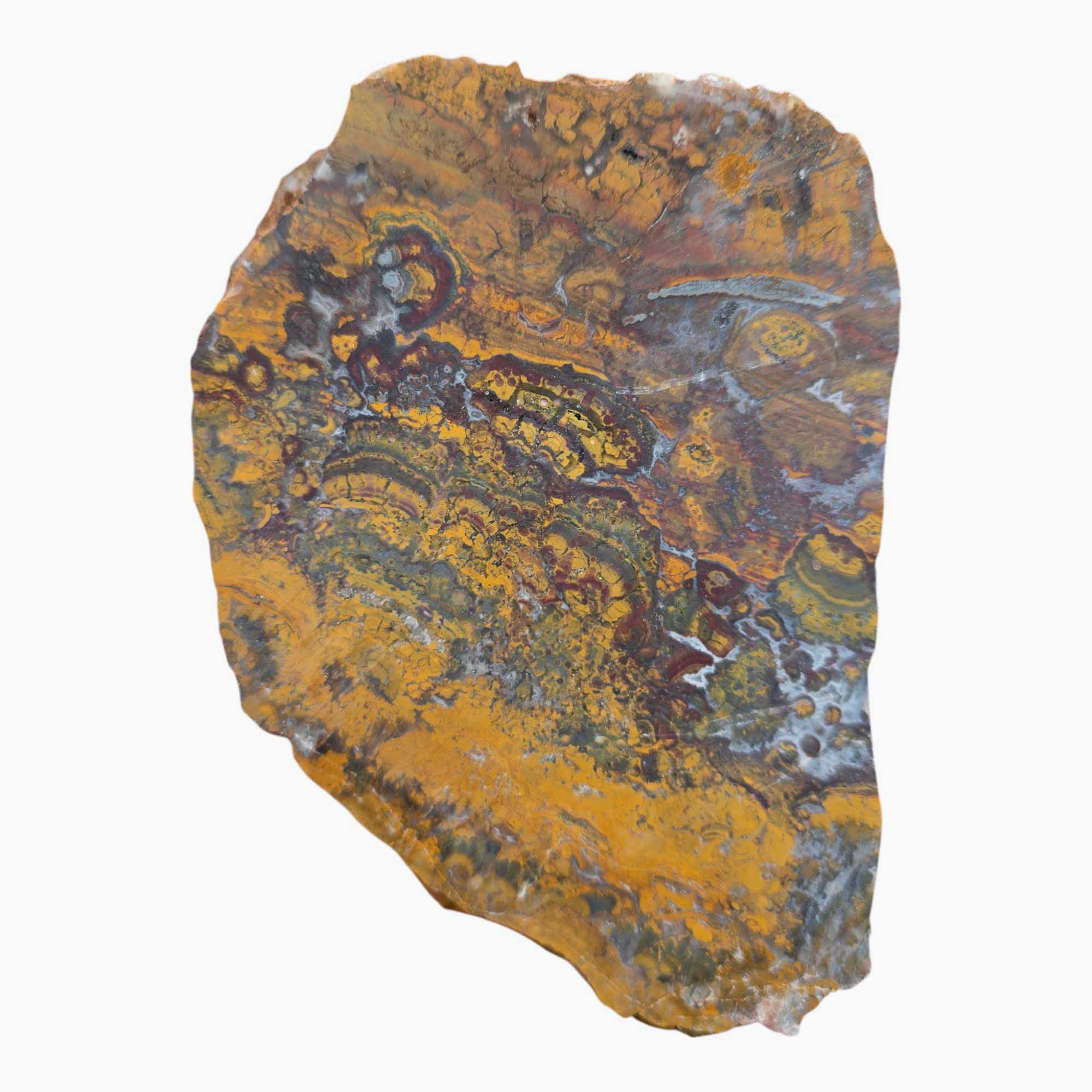 Apple Valley Jasper Lapidary Cutting Rough Chunk Stone Cut Face