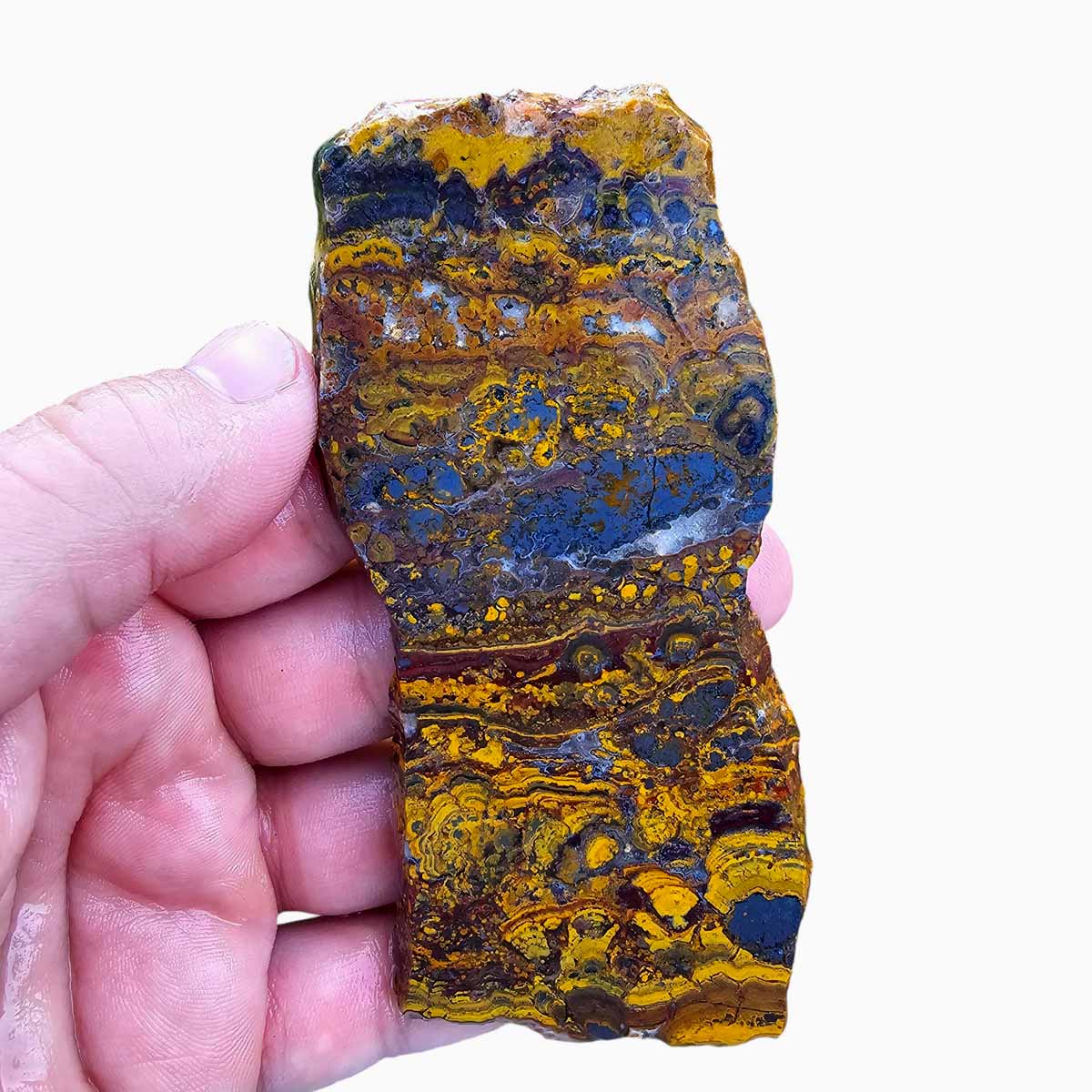 Apple Valley Jasper Slab  Fossil Stromatolite Slab