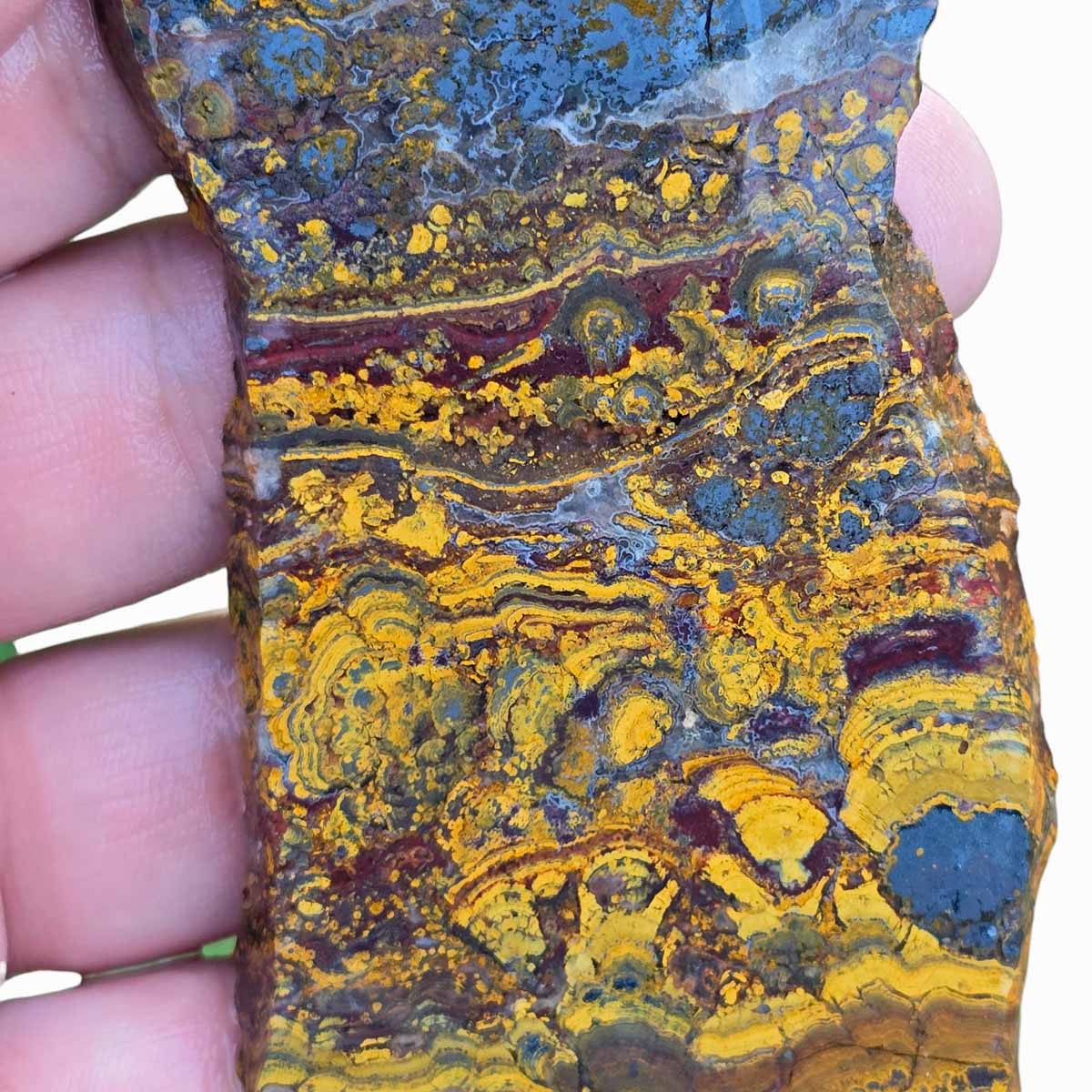 Apple Valley Jasper Slab  Fossil Stromatolite Slab