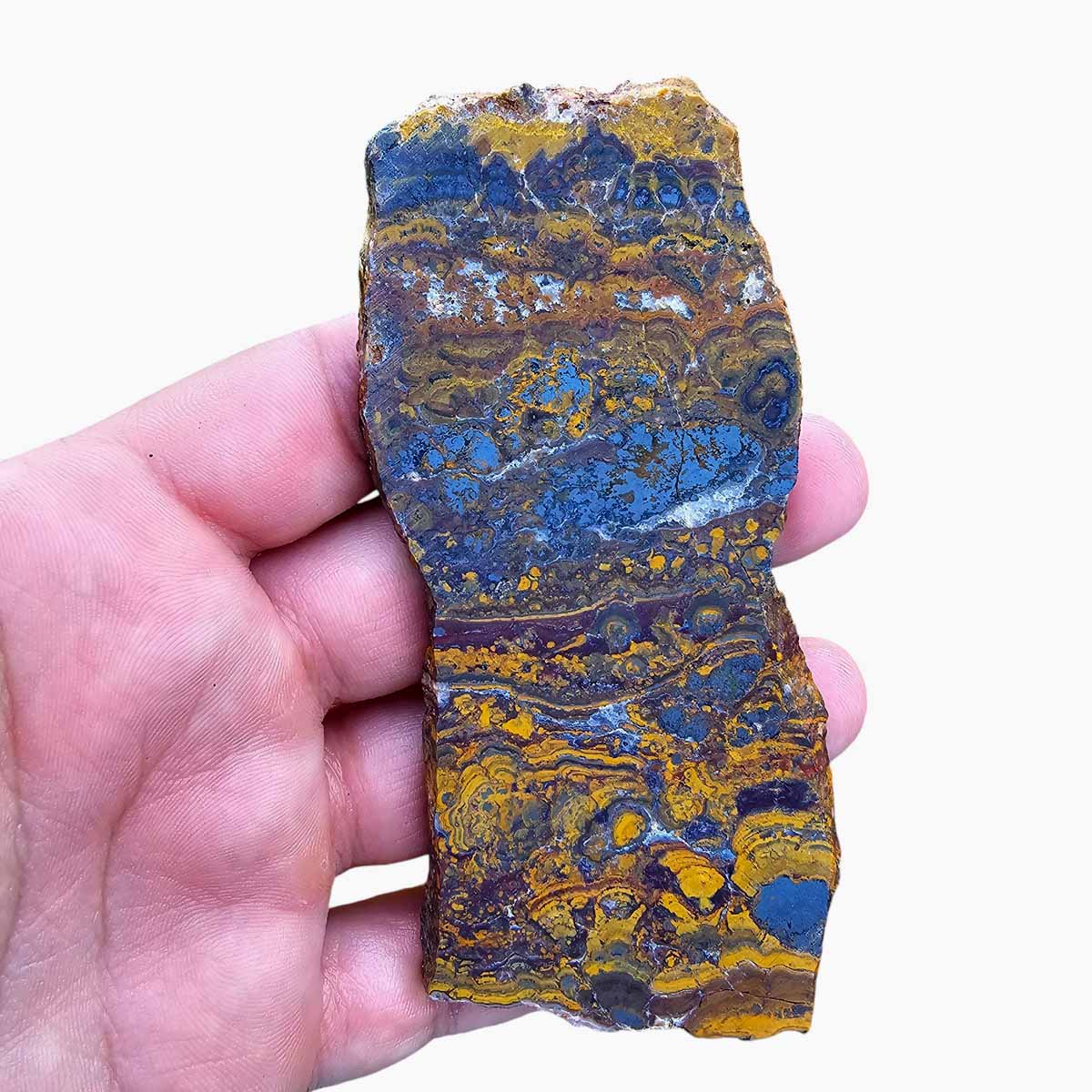 Apple Valley Jasper Slab  Fossil Stromatolite Slab