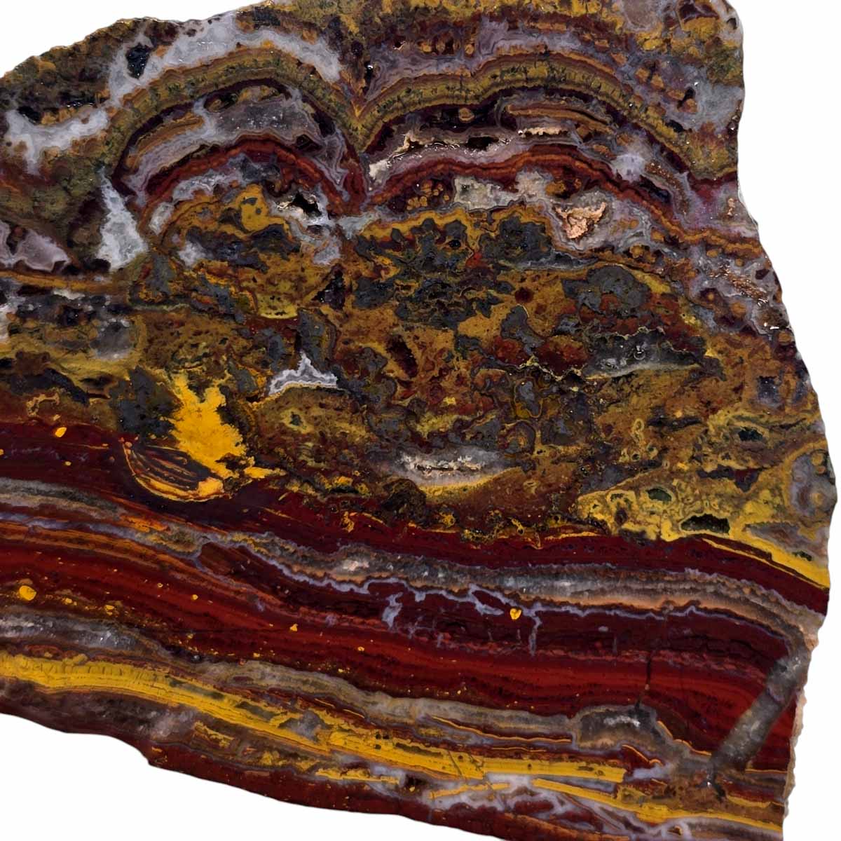 Apple Valley Jasper Slab Fossil Stromatolite Lapidary Stone Slice Cut Rock