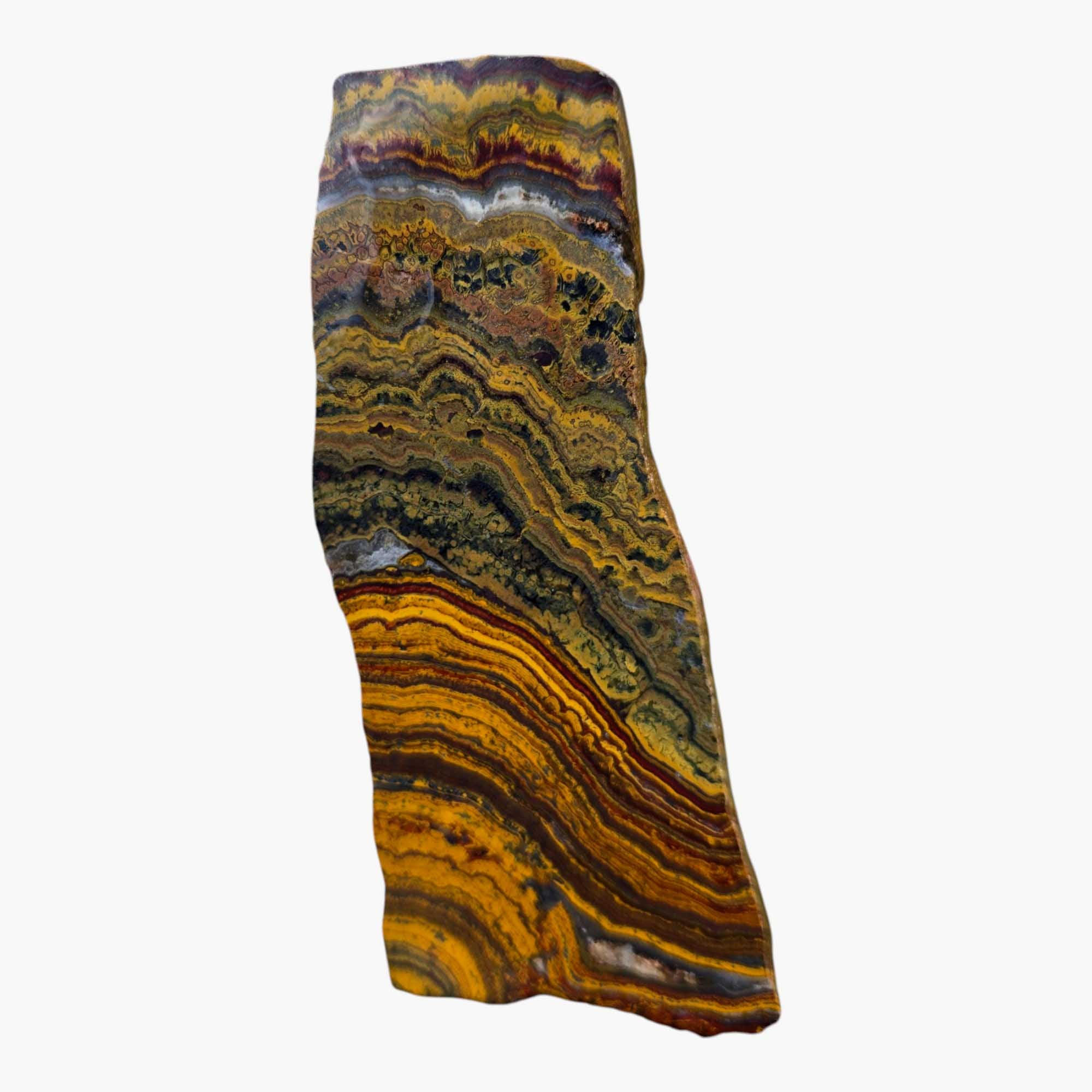 Apple Valley Jasper Slab Fossil Stromatolite Lapidary Stone Slice Cut Rock