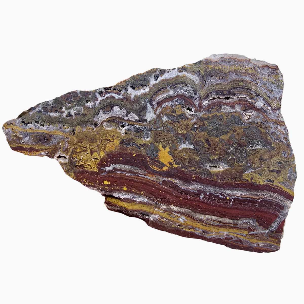 Apple Valley Jasper Slab Fossil Stromatolite Lapidary Stone Slice Cut Rock