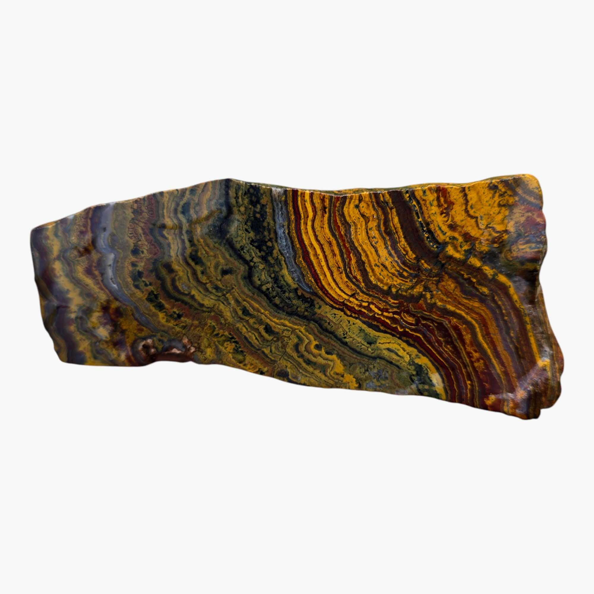 Apple Valley Jasper Slab Fossil Stromatolite Lapidary Stone Slice Cut Rock