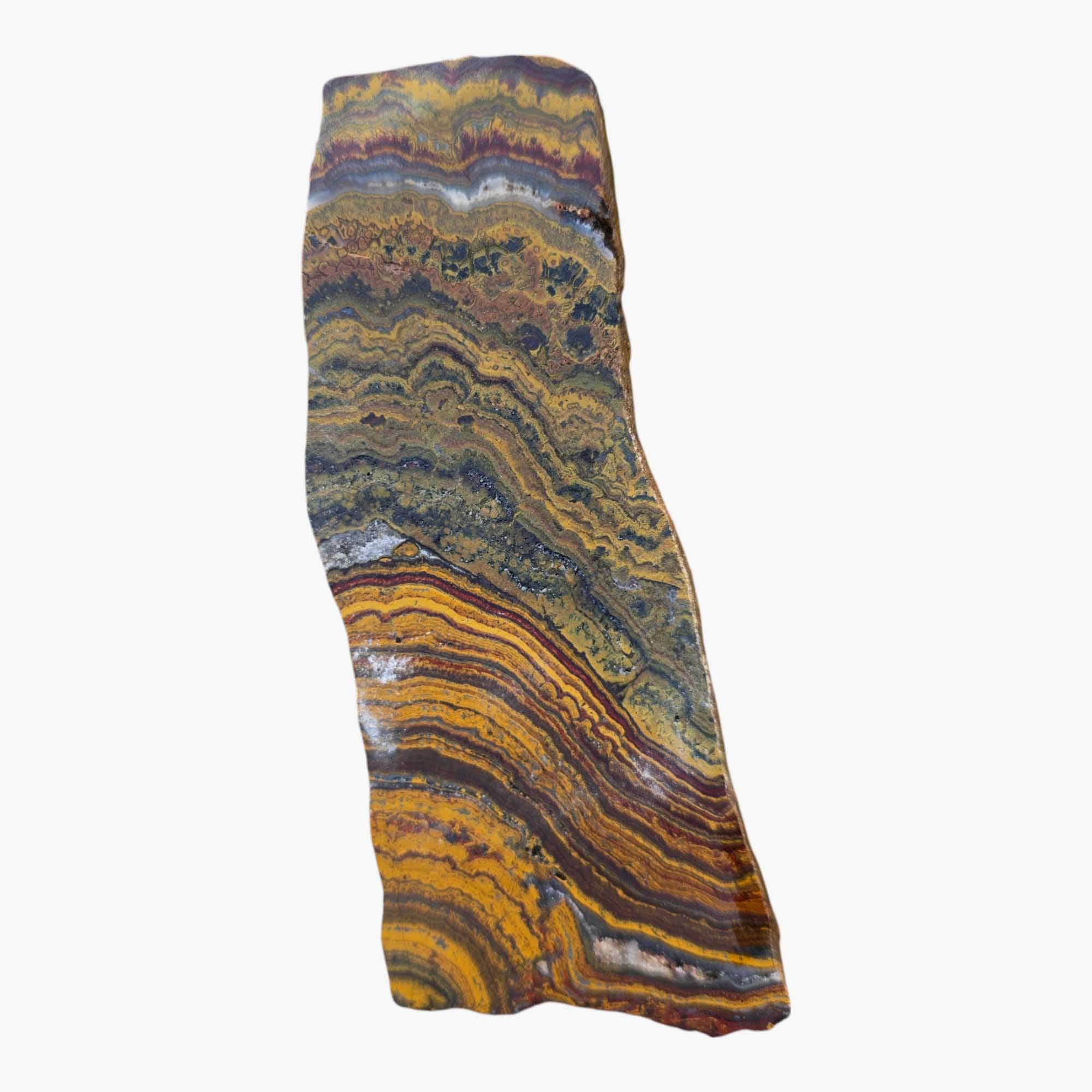 Apple Valley Jasper Slab Fossil Stromatolite Lapidary Stone Slice Cut Rock