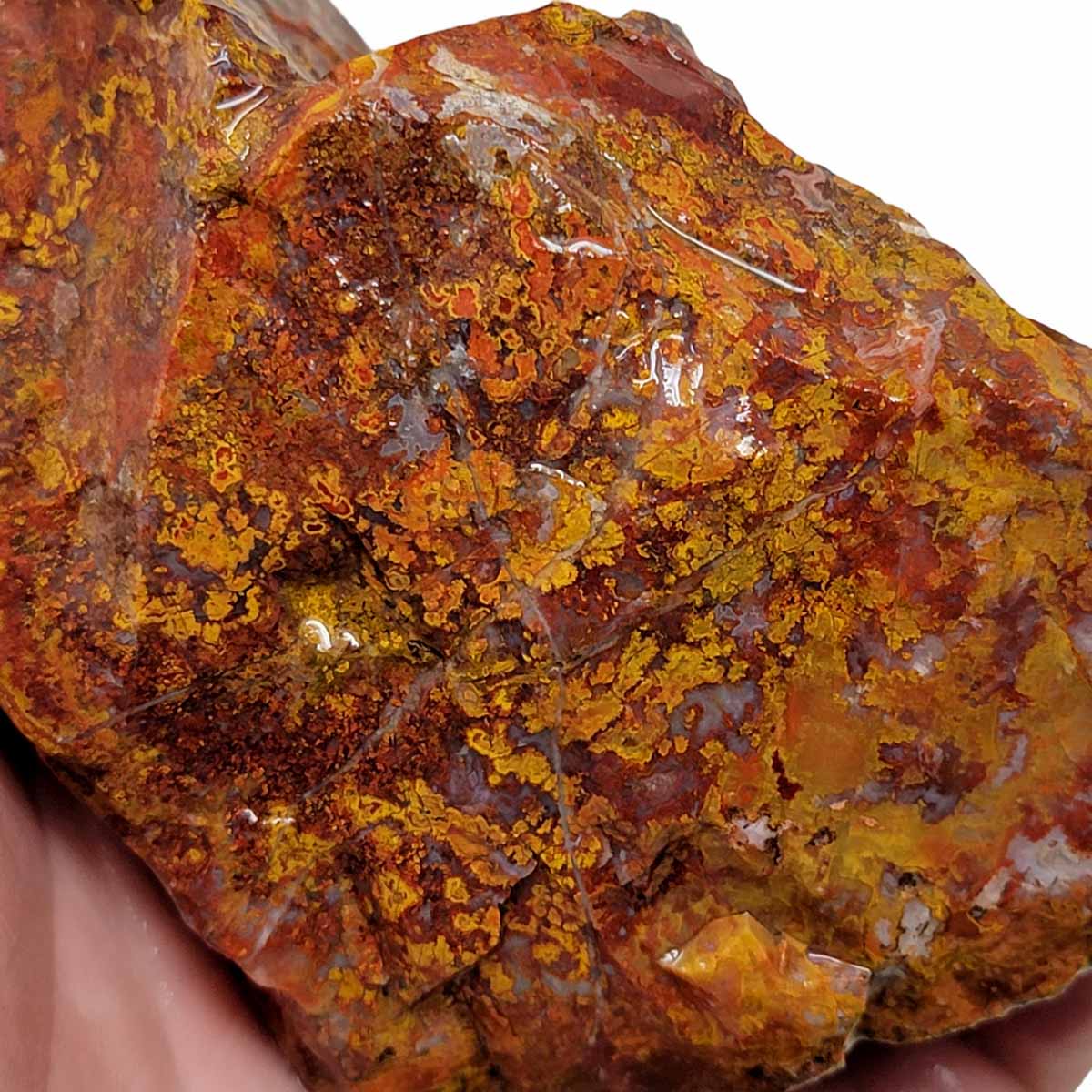 Apple Valley Agate Rough Chunk!