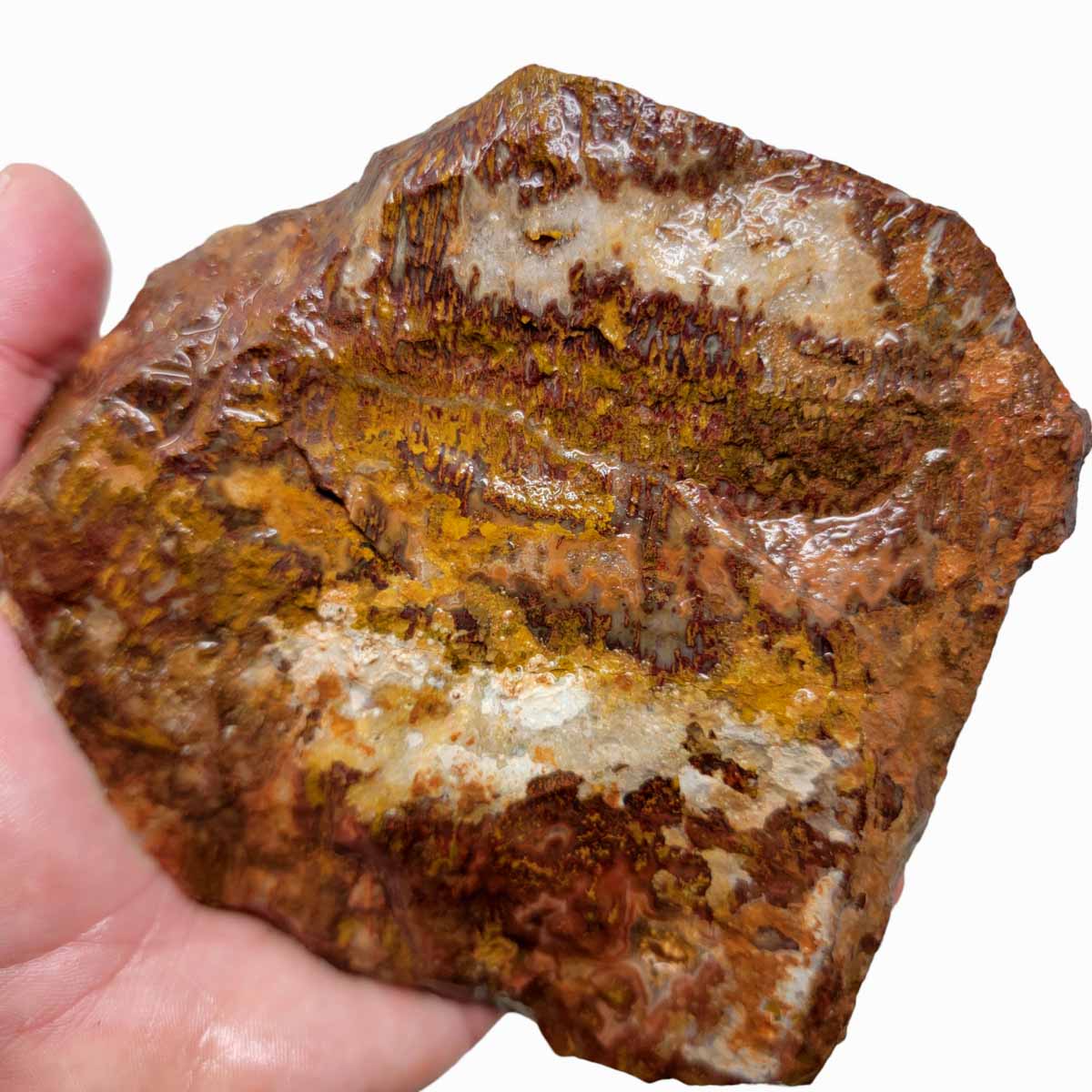 Plume-Like Apple Valley Agate Rough Chunk!