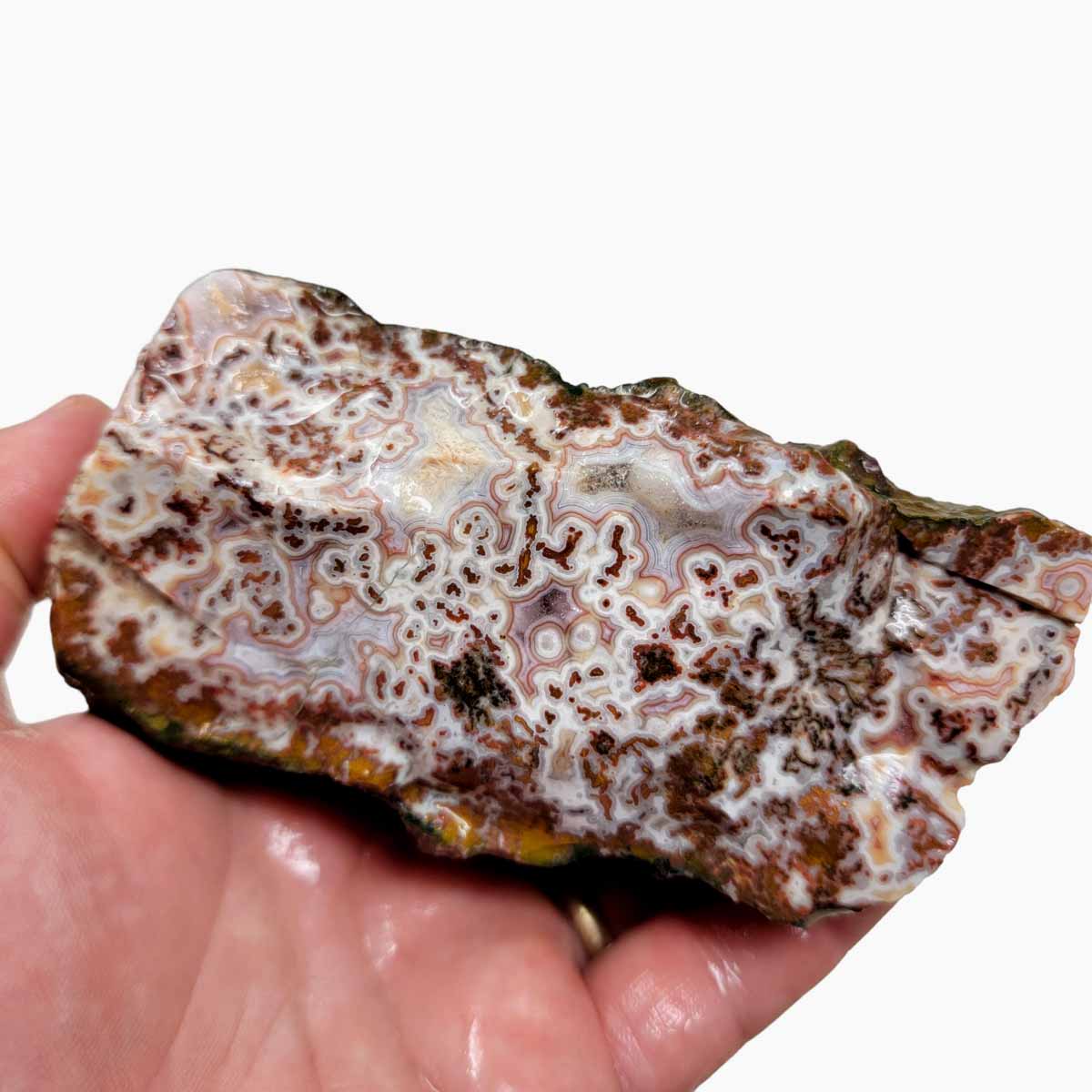 Apple Valley Agate Rough Chunk!