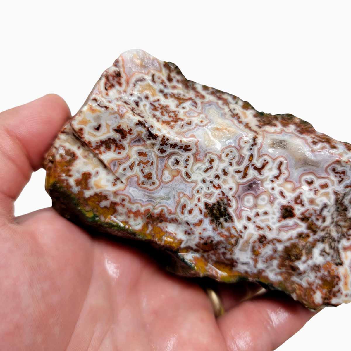 Apple Valley Agate Rough Chunk!