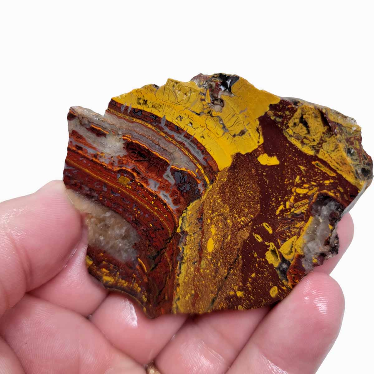 Apple Valley Jasper Slab!  Fossil Stromatolite Slab!