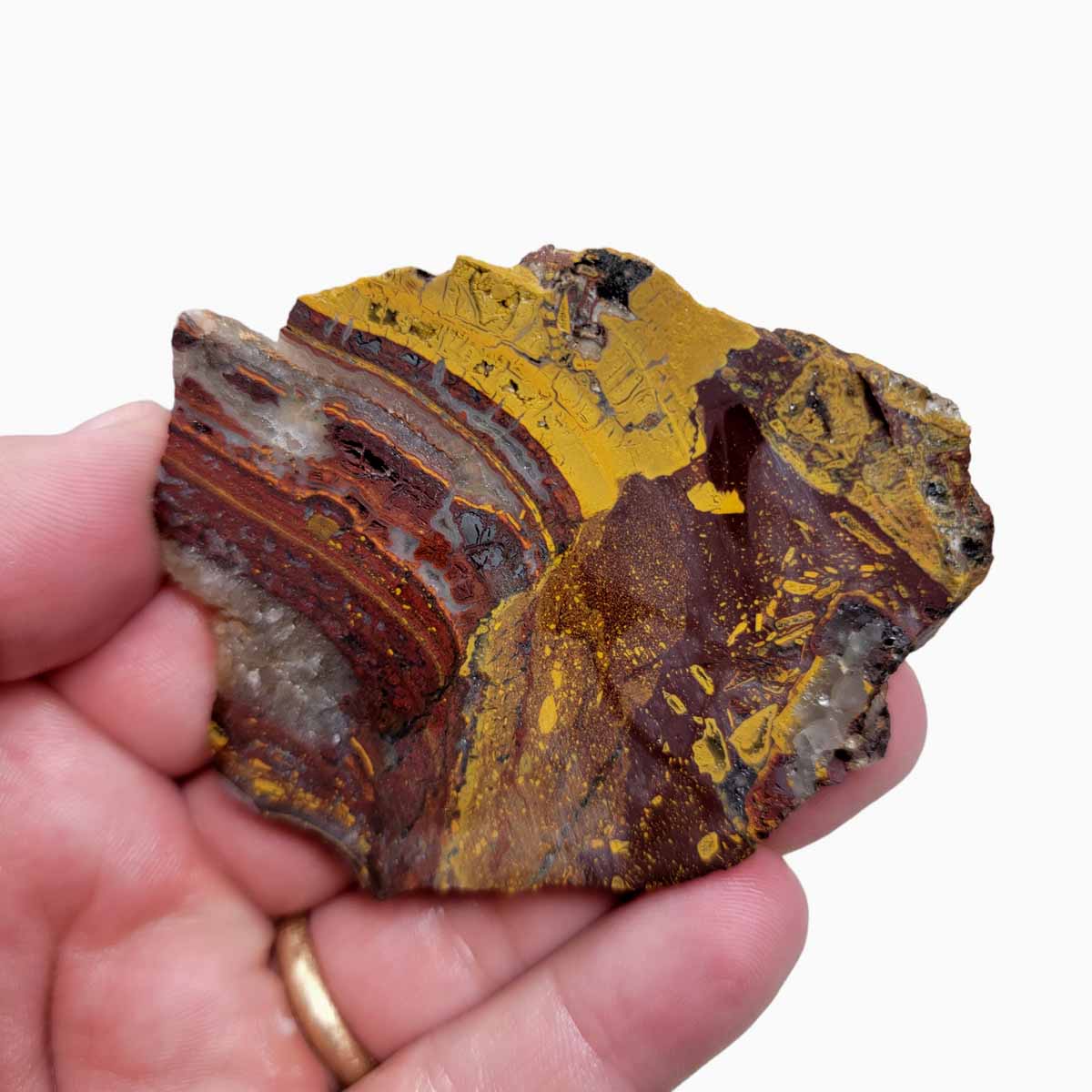 Apple Valley Jasper Slab!  Fossil Stromatolite Slab!