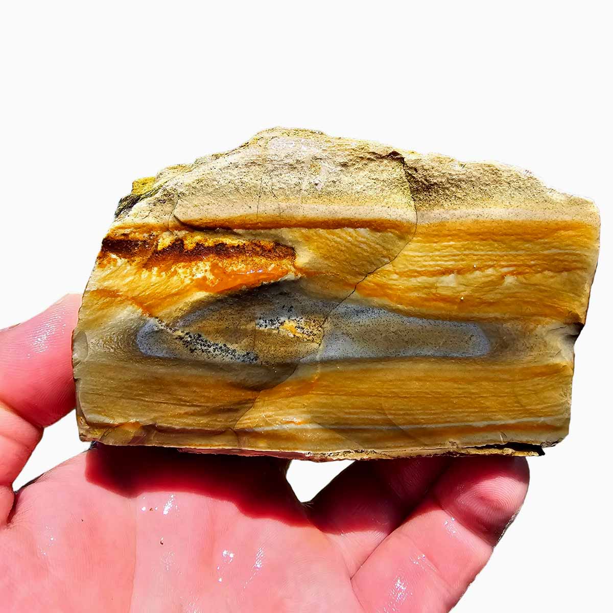 Arroyo Picture Jasper Lapidary Rough Chunk