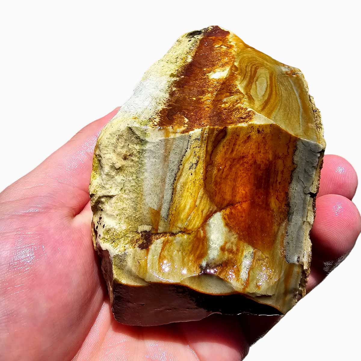 Arroyo Picture Jasper Lapidary Rough Chunk