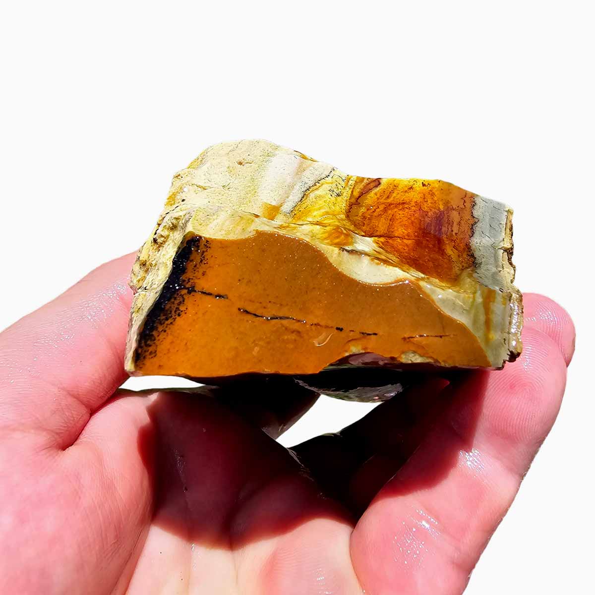 Arroyo Picture Jasper Lapidary Rough Chunk