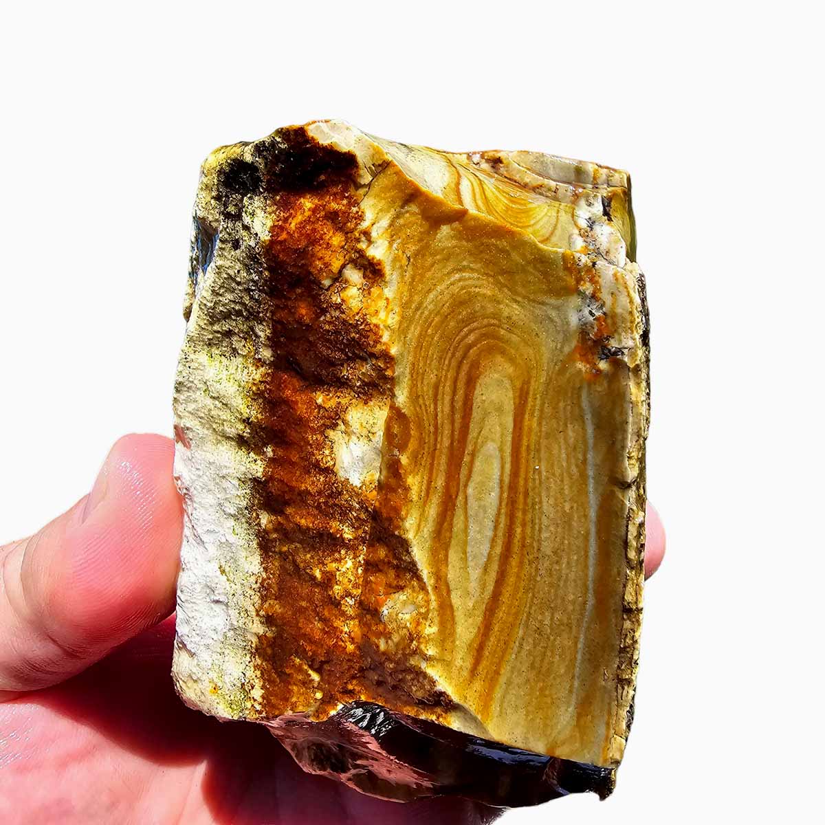 Arroyo Picture Jasper Lapidary Rough Chunk