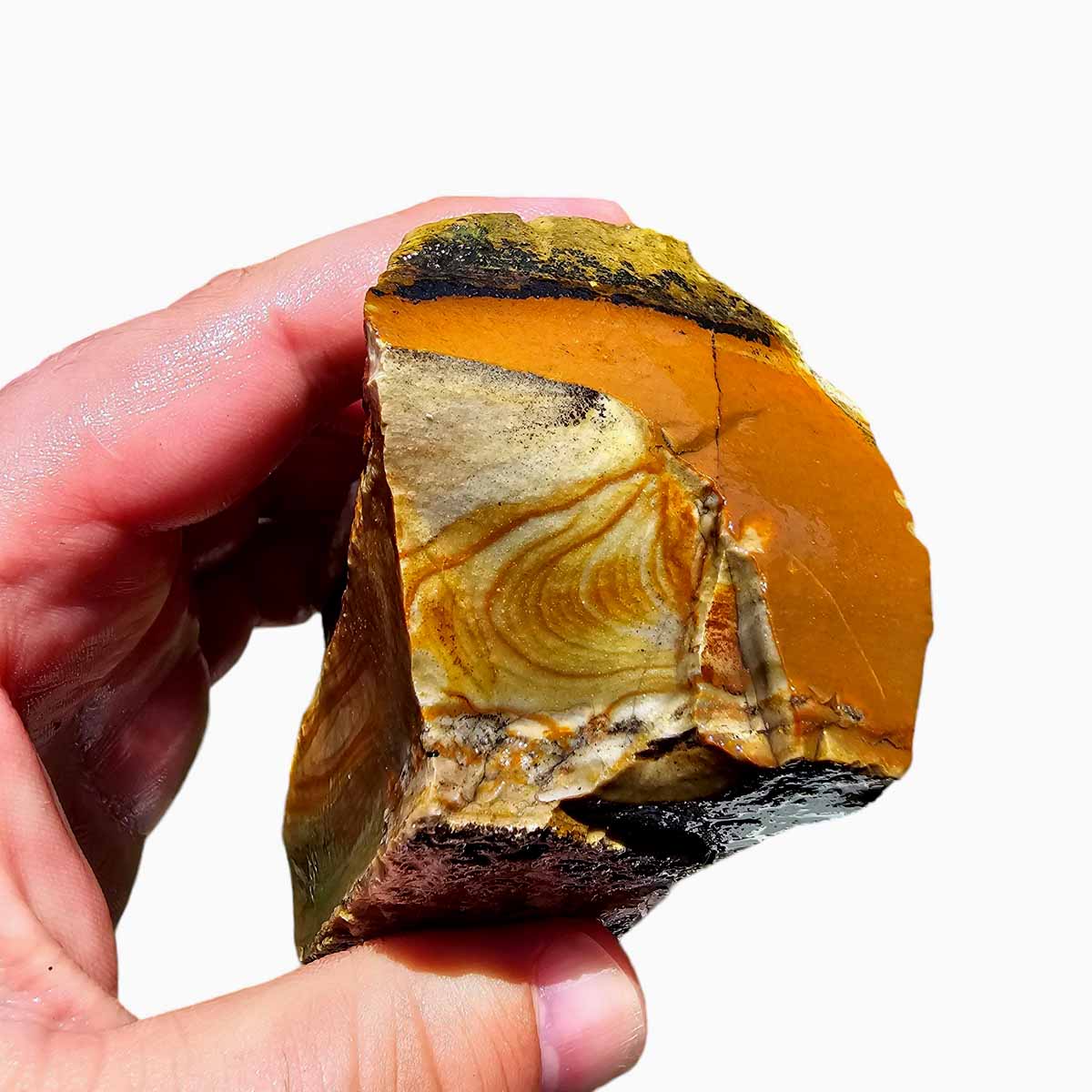 Arroyo Picture Jasper Lapidary Rough Chunk