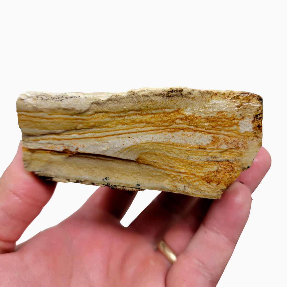 Arroyo Picture Jasper Rough Chunk!