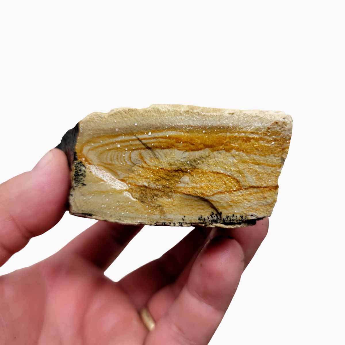 Arroyo Picture Jasper Rough Chunk!