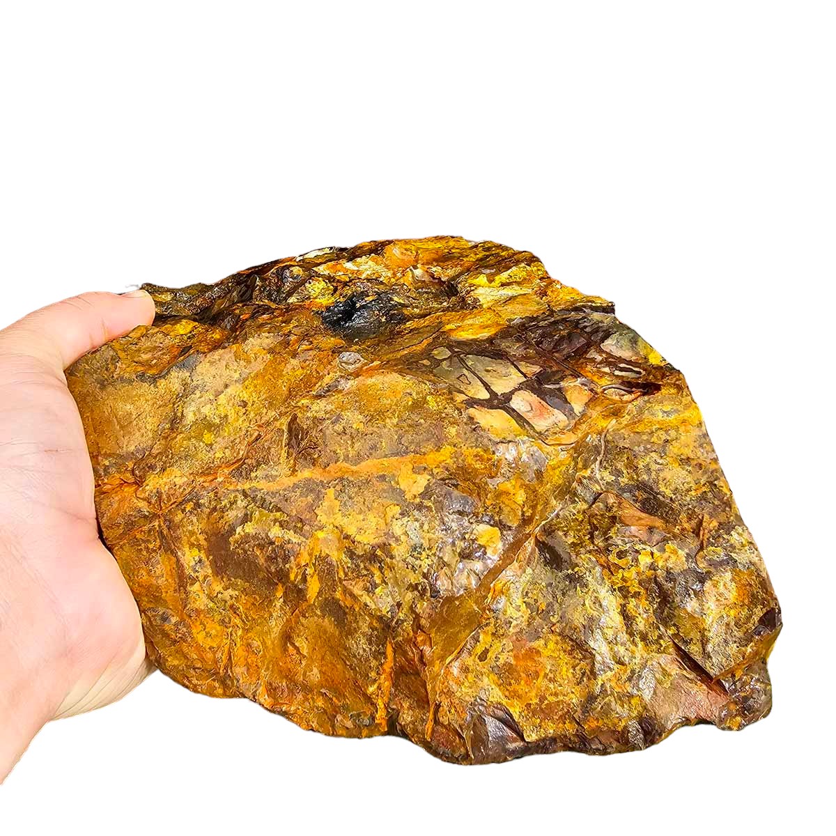 STUNNING Australian Outback Jasper Rough Chunk!