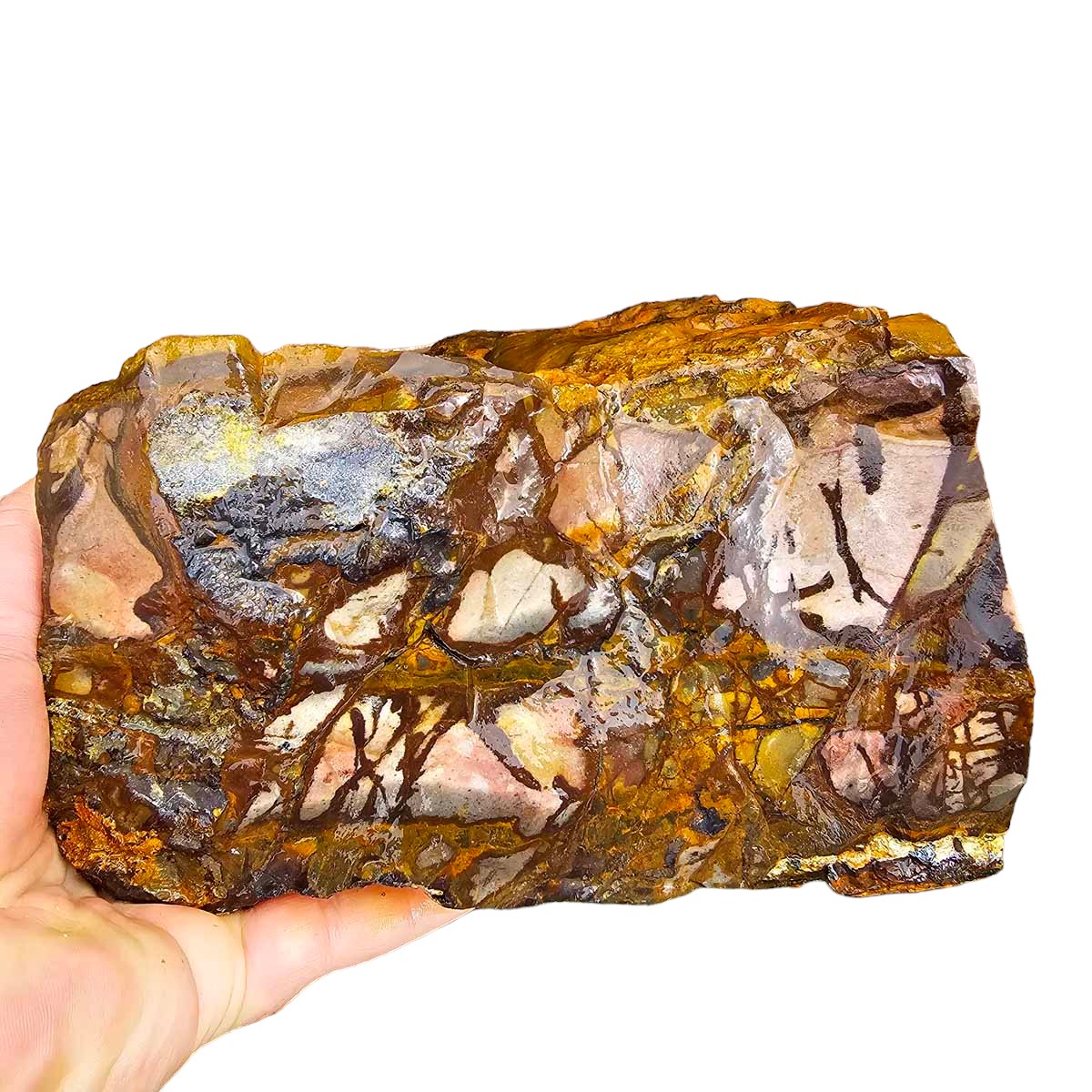 STUNNING Australian Outback Jasper Rough Chunk!